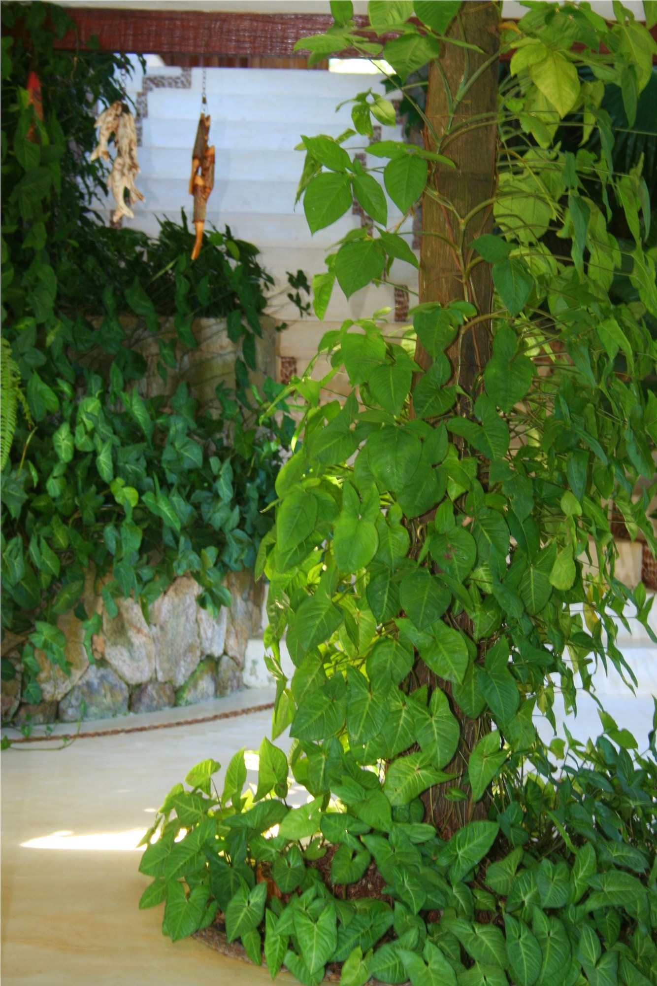 Cópia de 0508_Q14L05_ (5)