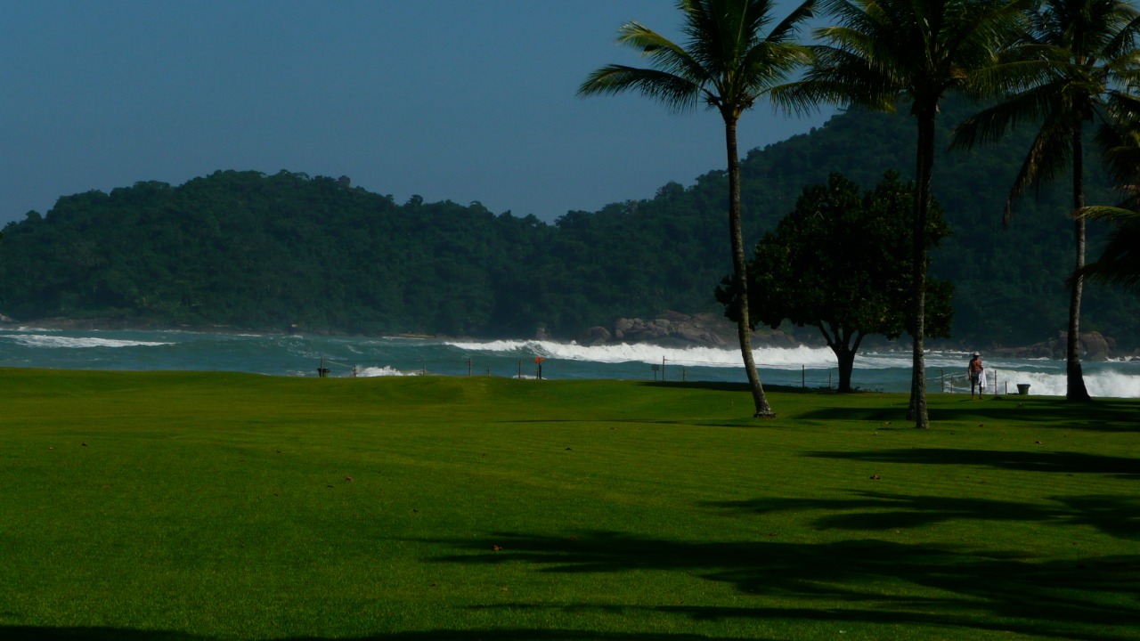 Cópia de 2a0caff5-3c4e-47f6-92ee-ef890a32f5cd