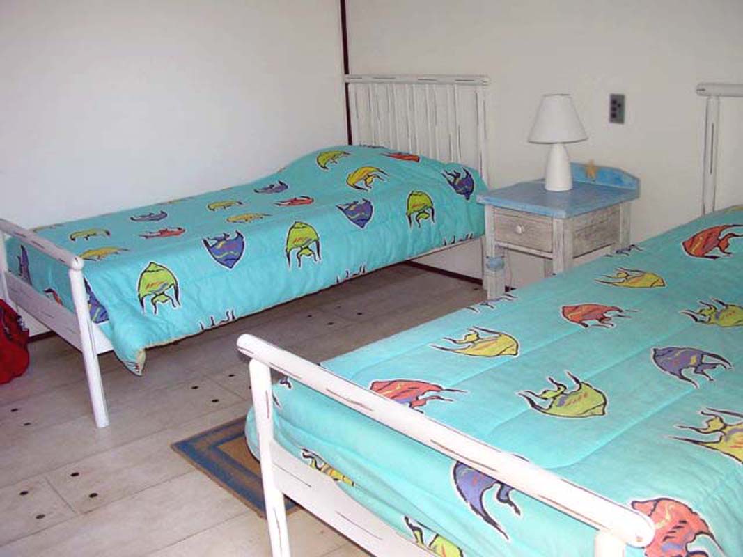 Cópia de DSC04407 - tratada