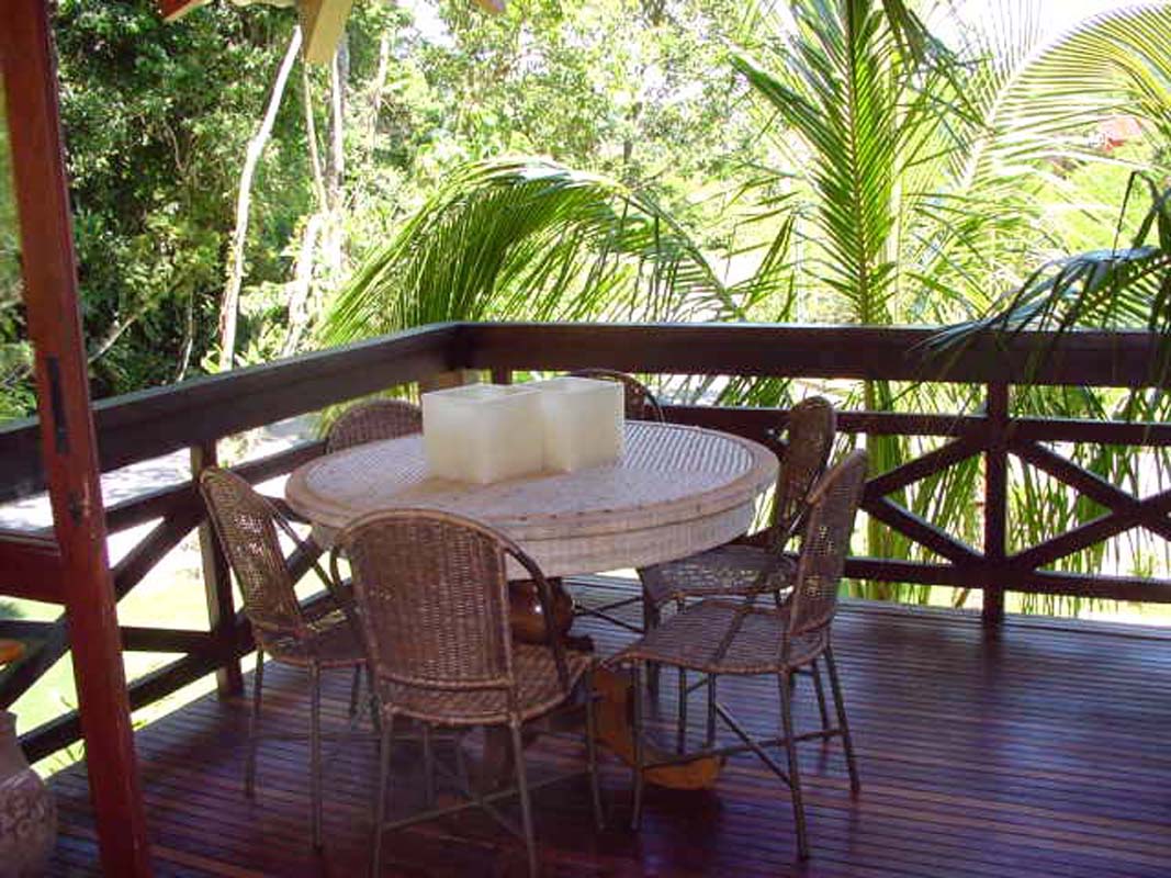 Cópia de DSC04411 - tratada