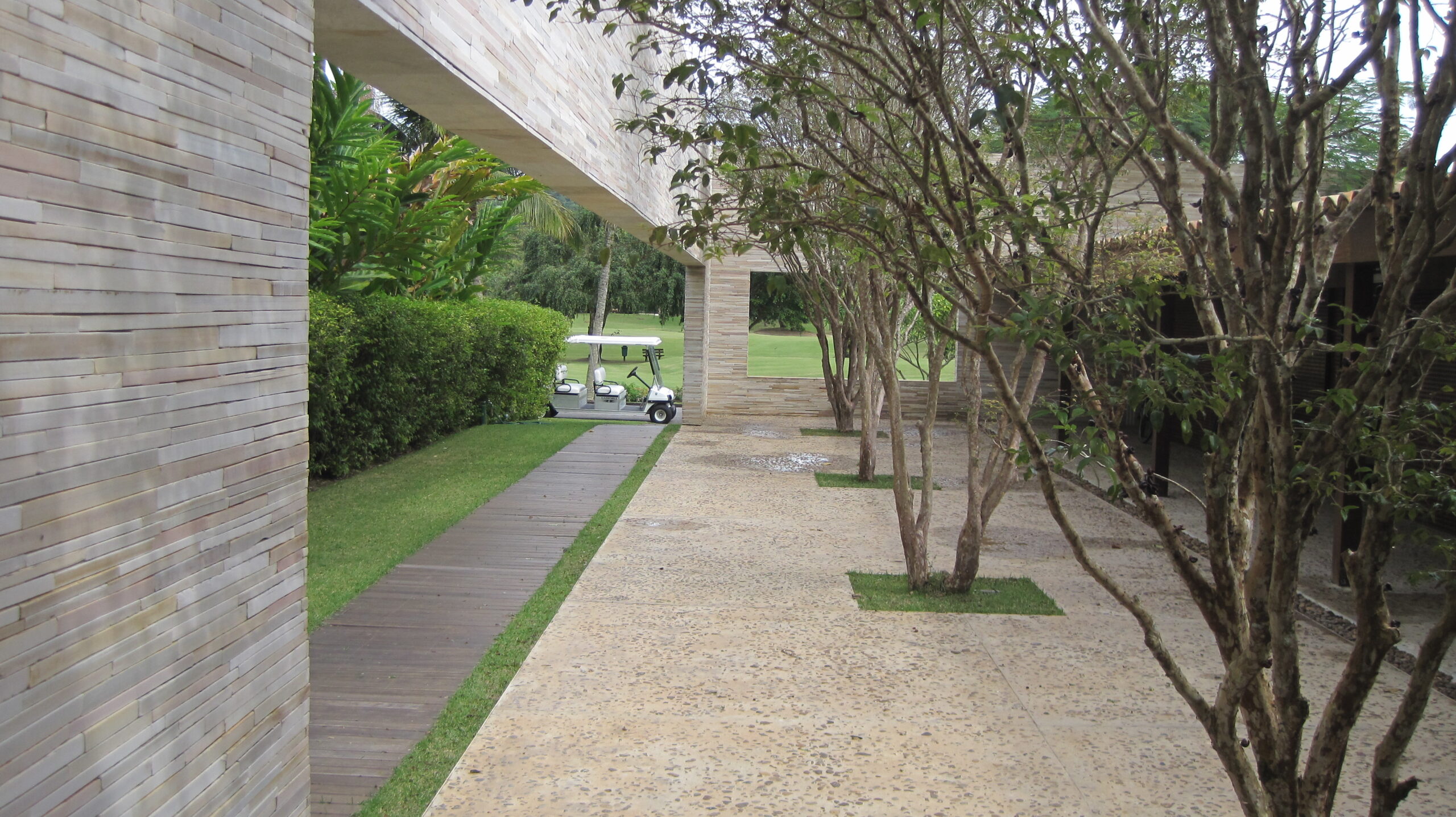 Cópia de Fotos Zuca 152