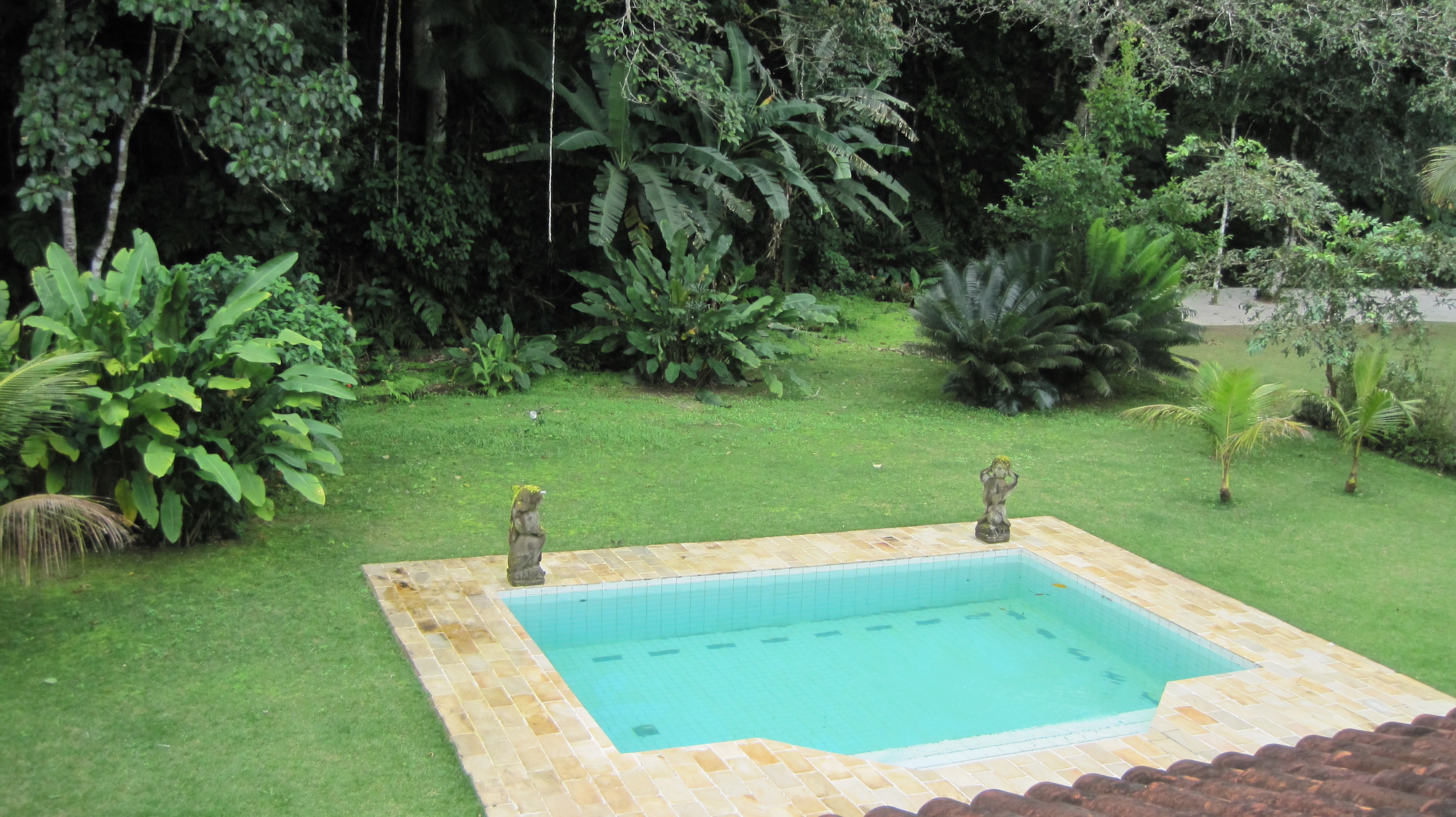 Cópia de Fotos Zuca 161