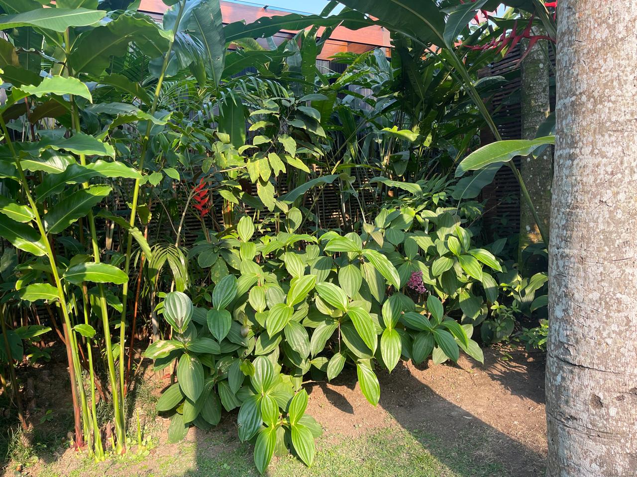 Cópia de IMG-20240812-WA0044