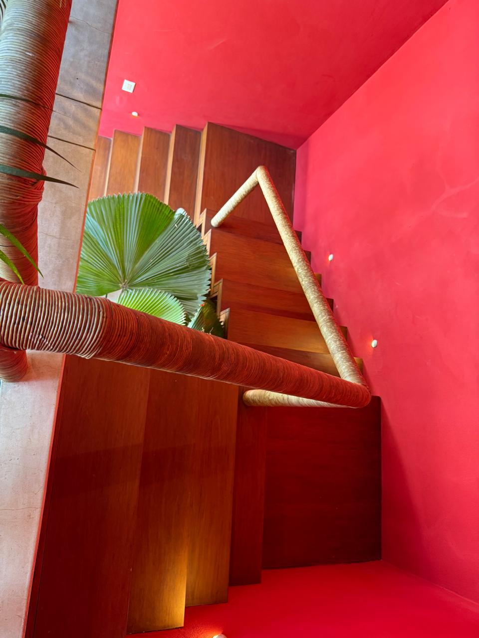 Cópia de IMG-20241008-WA0045