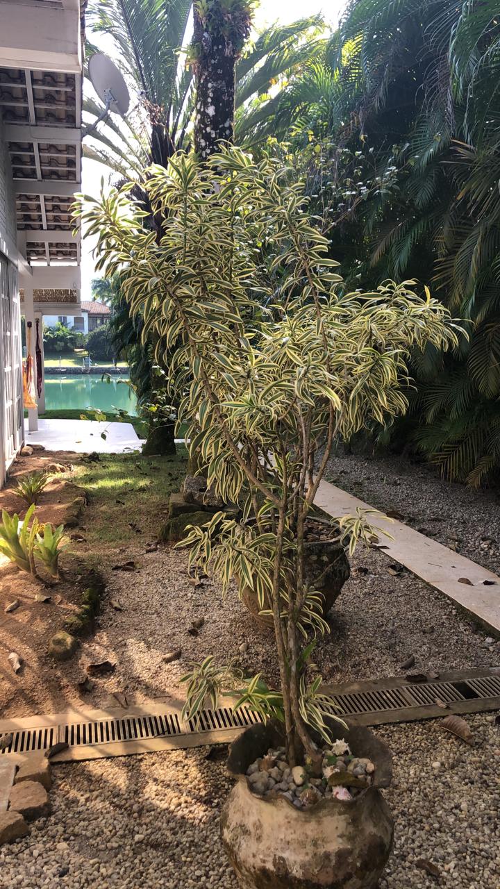 Cópia de IMG-20241014-WA0035