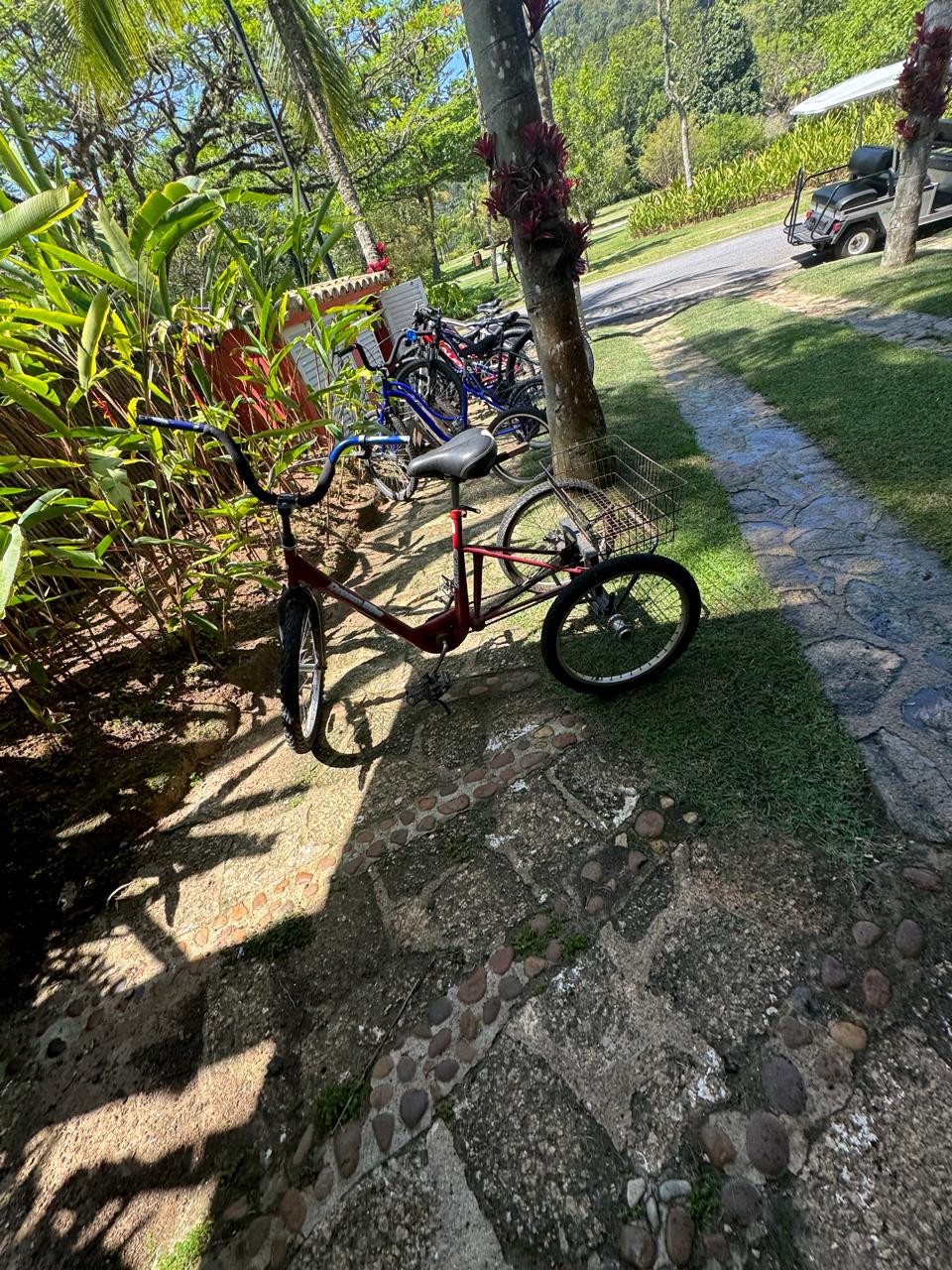 Cópia de IMG-20241113-WA0227