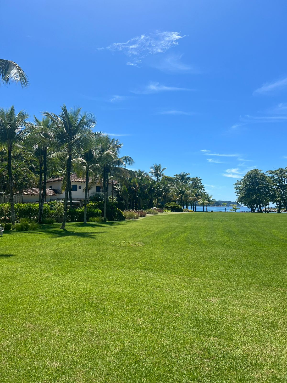 Cópia de IMG-20250121-WA0023