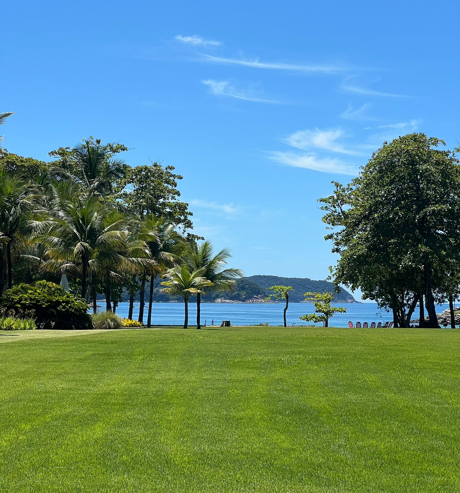 Cópia de IMG-20250121-WA0025