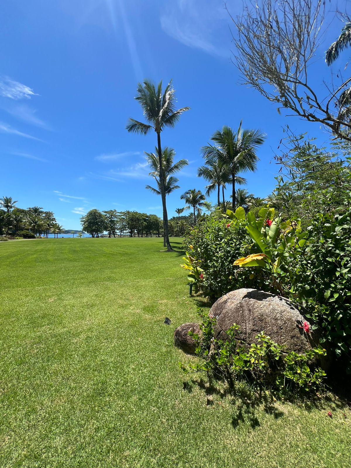 Cópia de IMG-20250121-WA0028