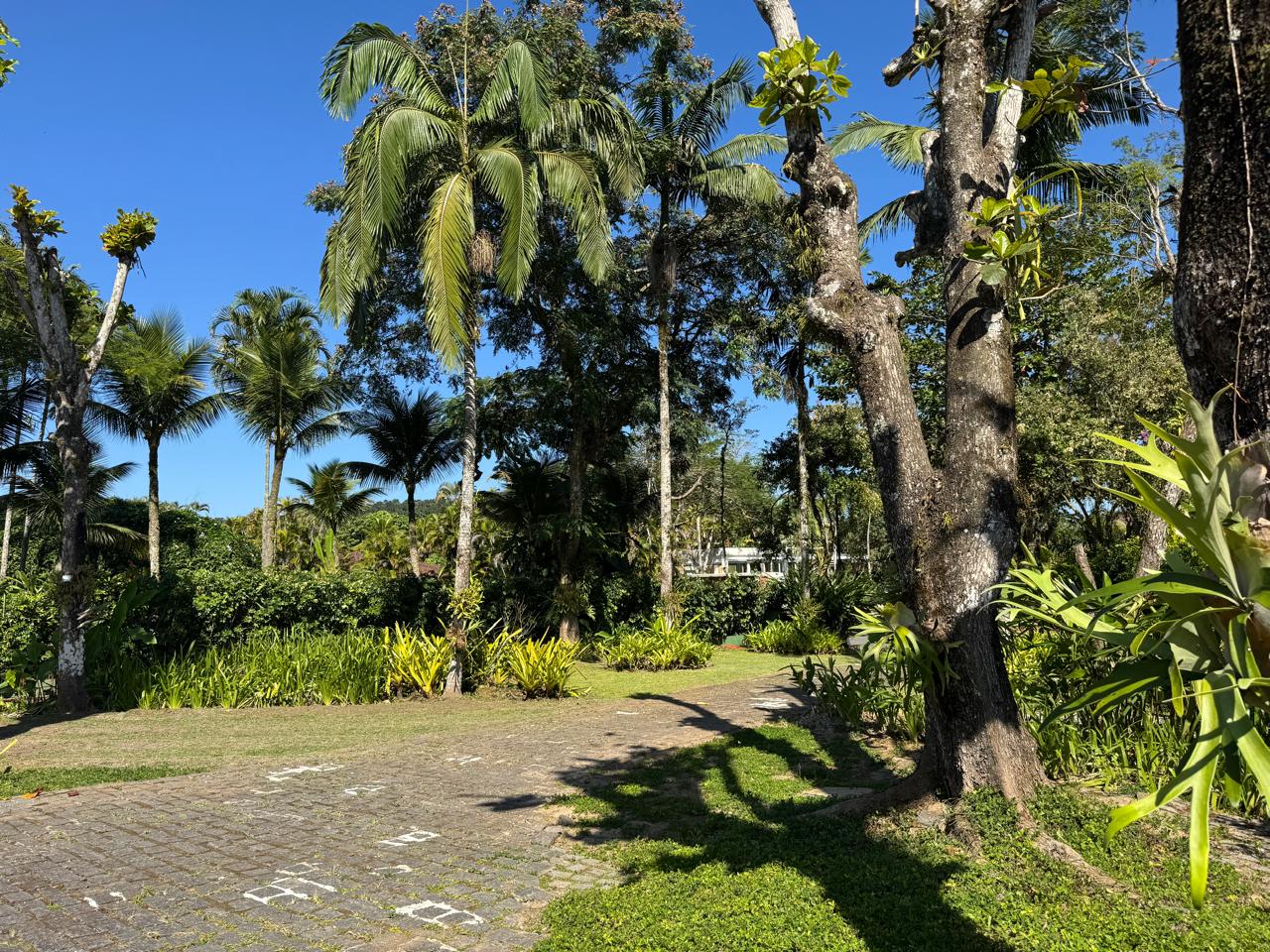 Cópia de IMG-20250710-WA0047