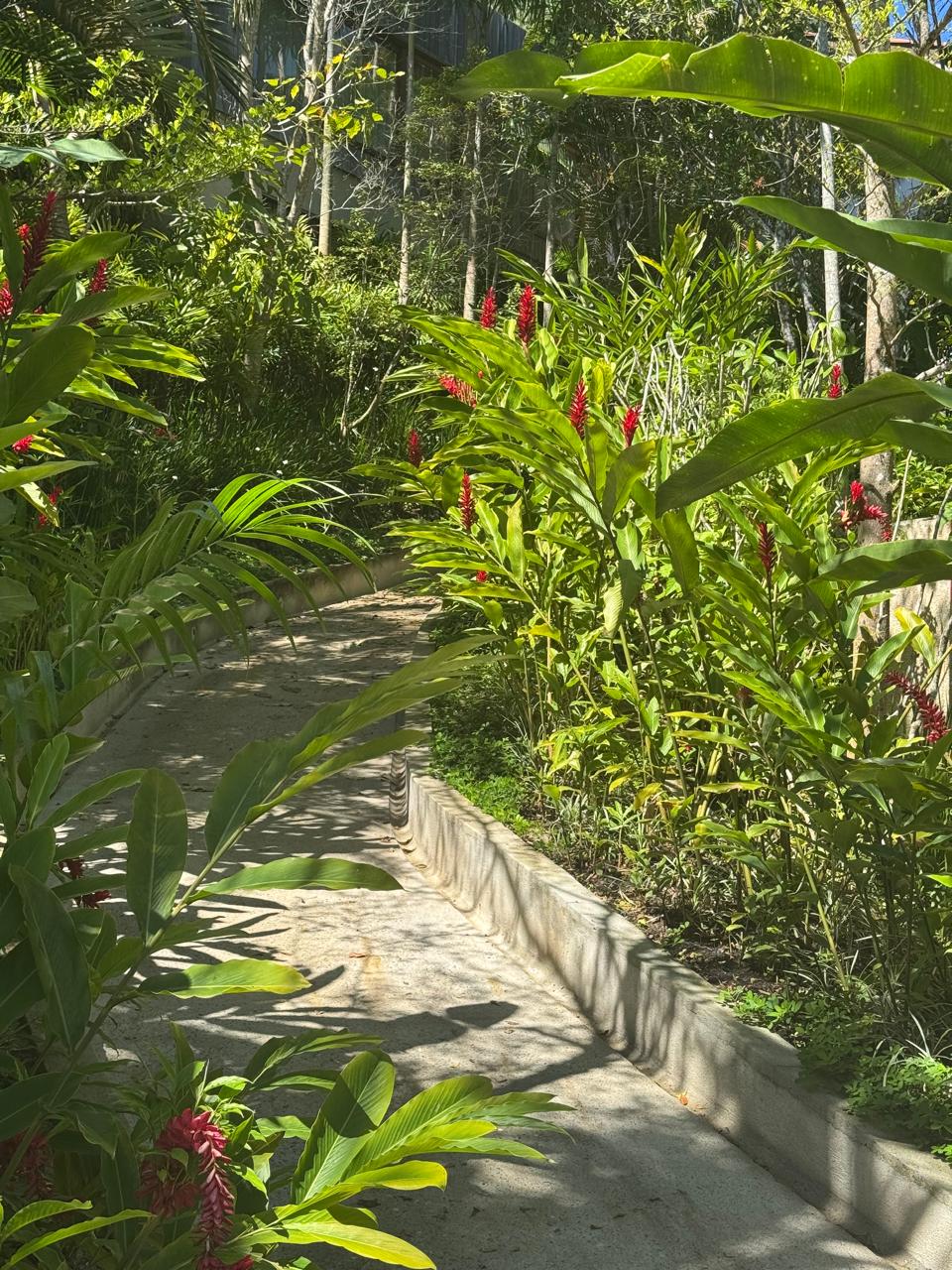 Cópia de IMG-20250919-WA0002