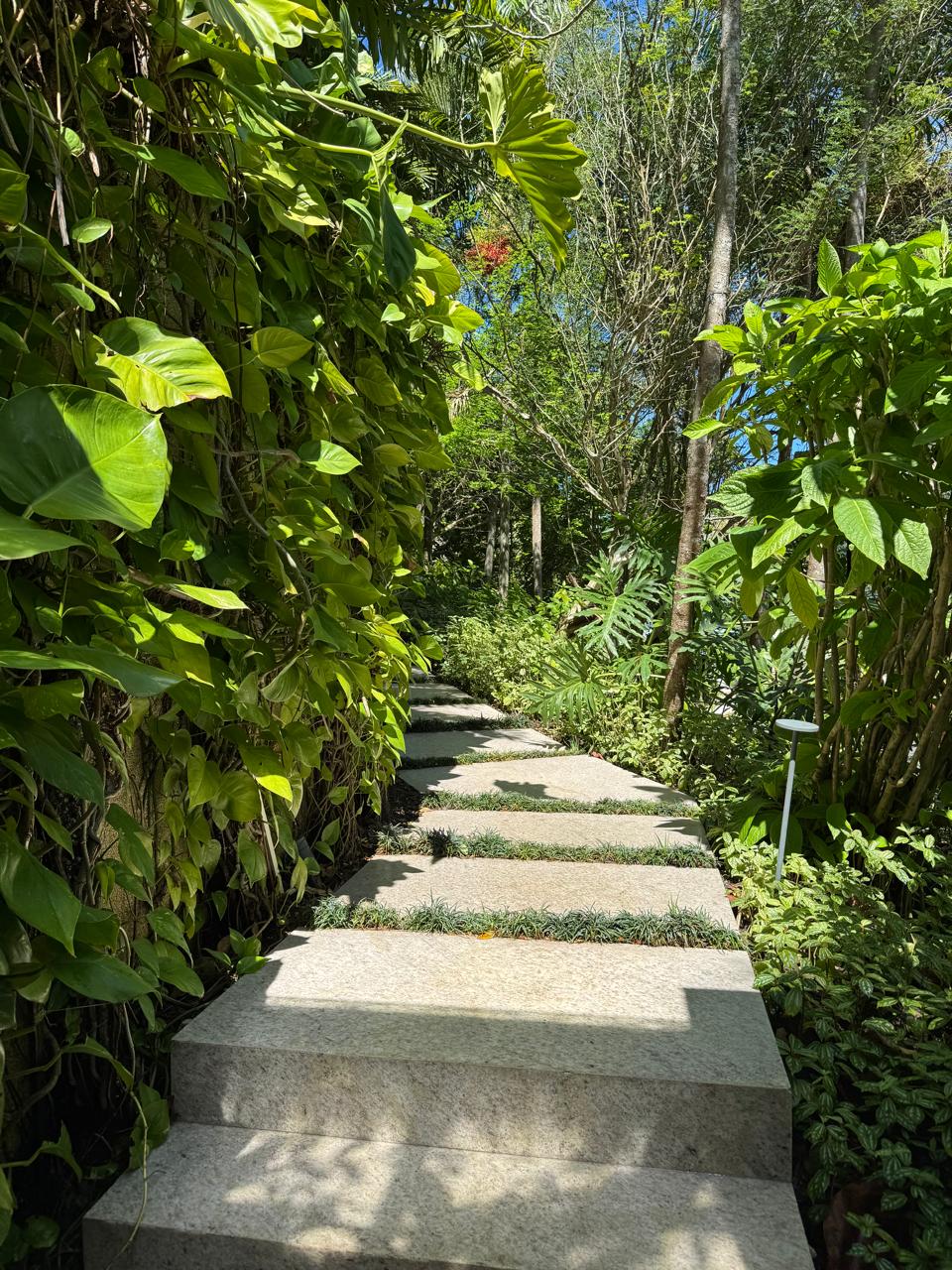 Cópia de IMG-20250919-WA0003