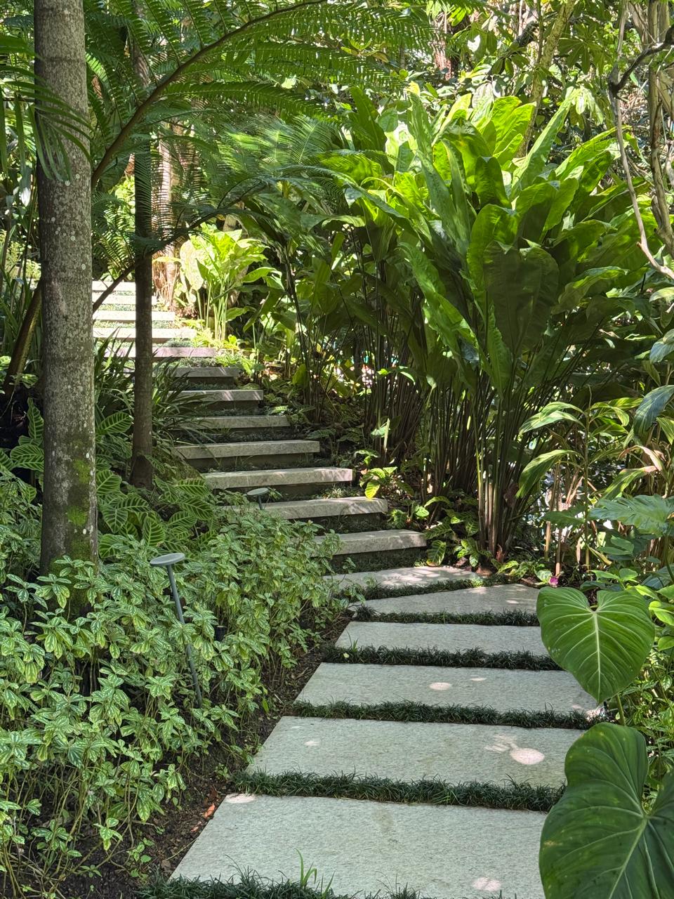 Cópia de IMG-20250919-WA0005