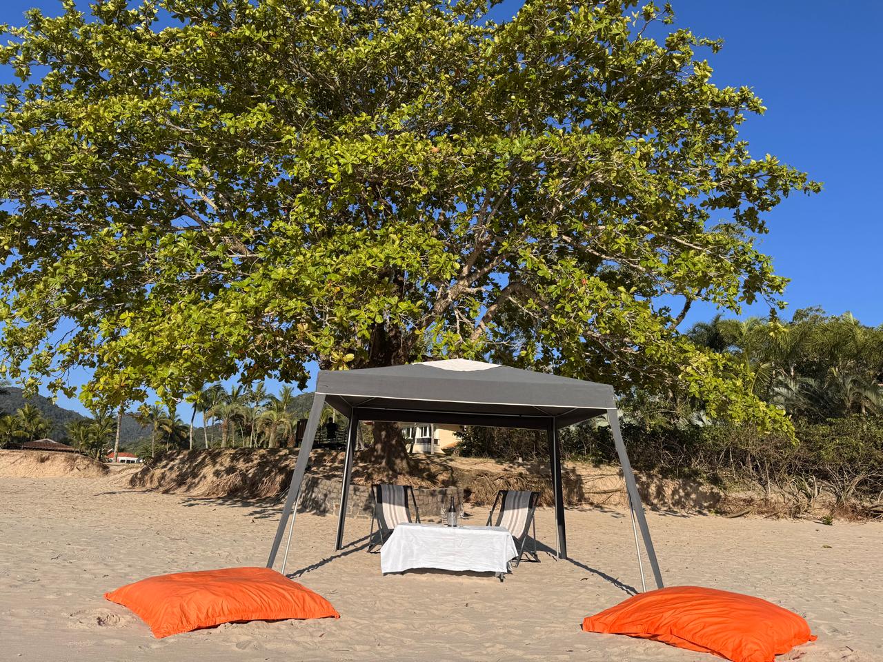 Cópia de IMG-20251117-WA0109