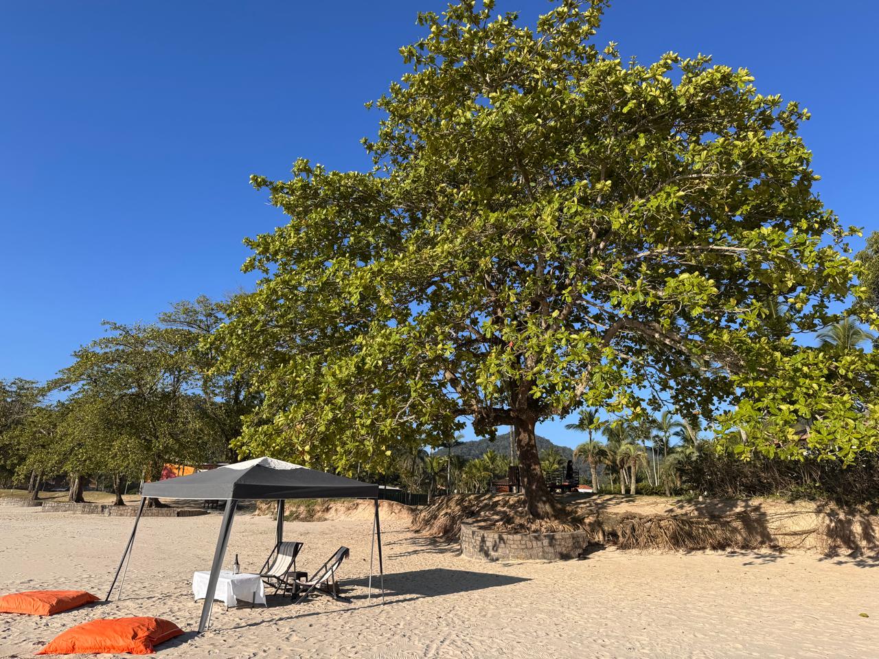 Cópia de IMG-20251117-WA0113