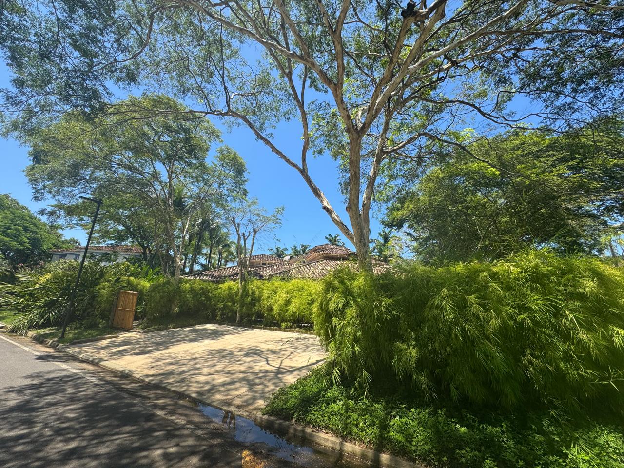 Cópia de Imagem do WhatsApp de 2025-02-12 à(s) 17.59.23_49a2b912