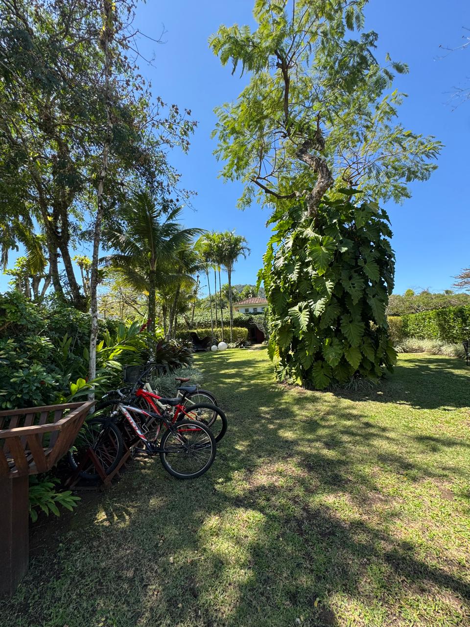 Cópia de Imagem do WhatsApp de 2025-09-18 à(s) 14.00.29_e2a83c34