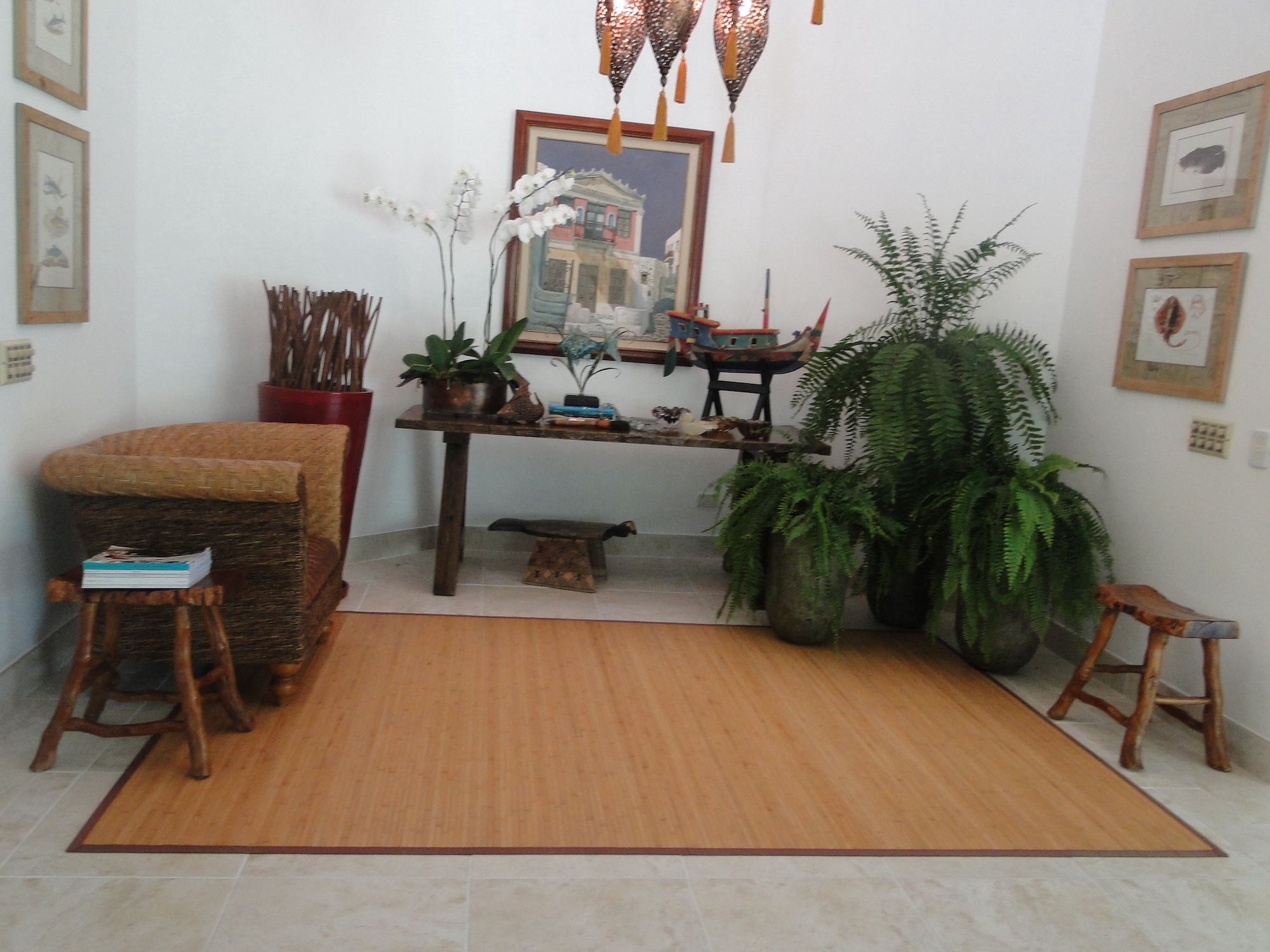 Cópia de LARANJEIRAS 195