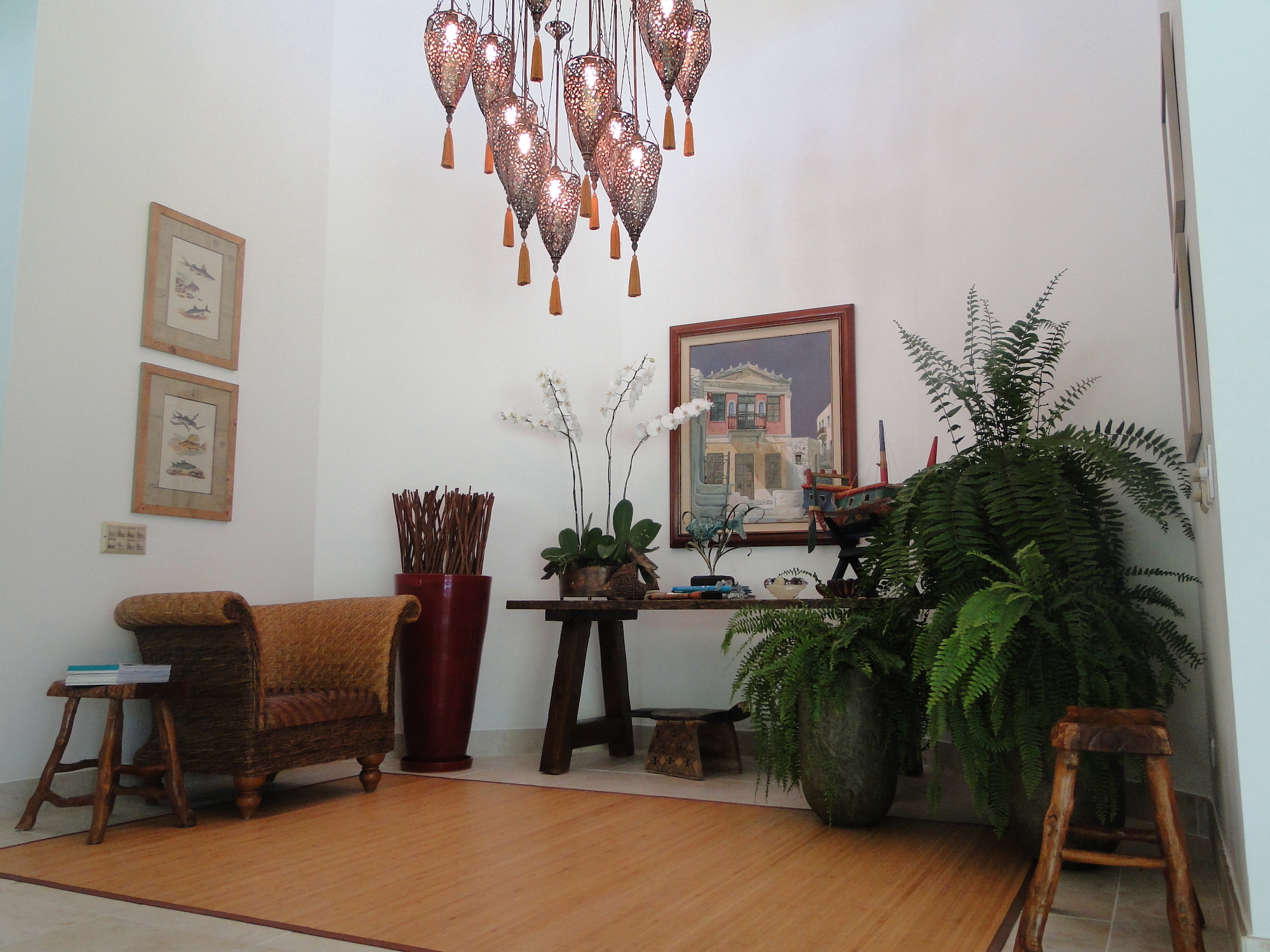 Cópia de LARANJEIRAS 196