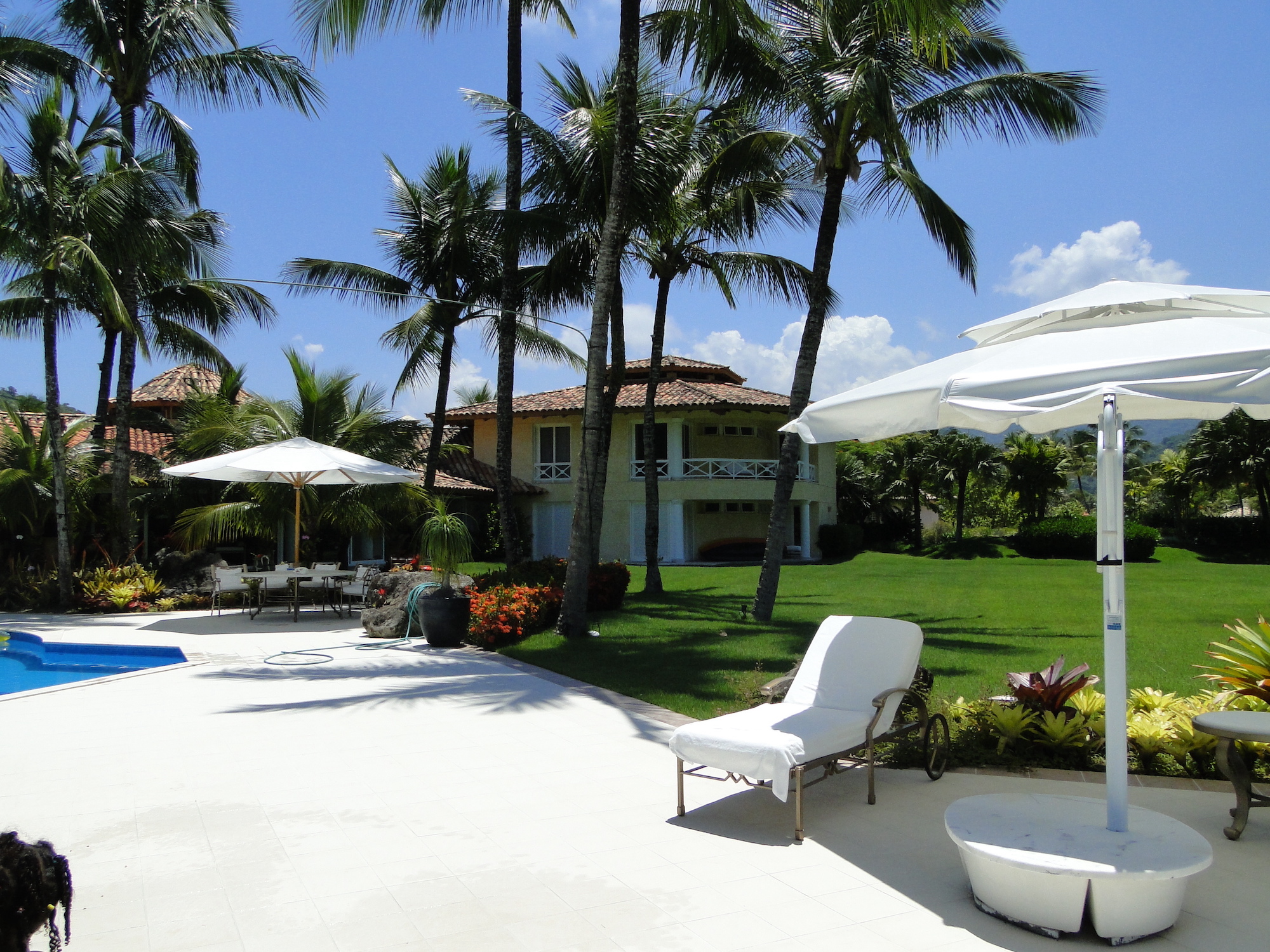 Cópia de LARANJEIRAS 245