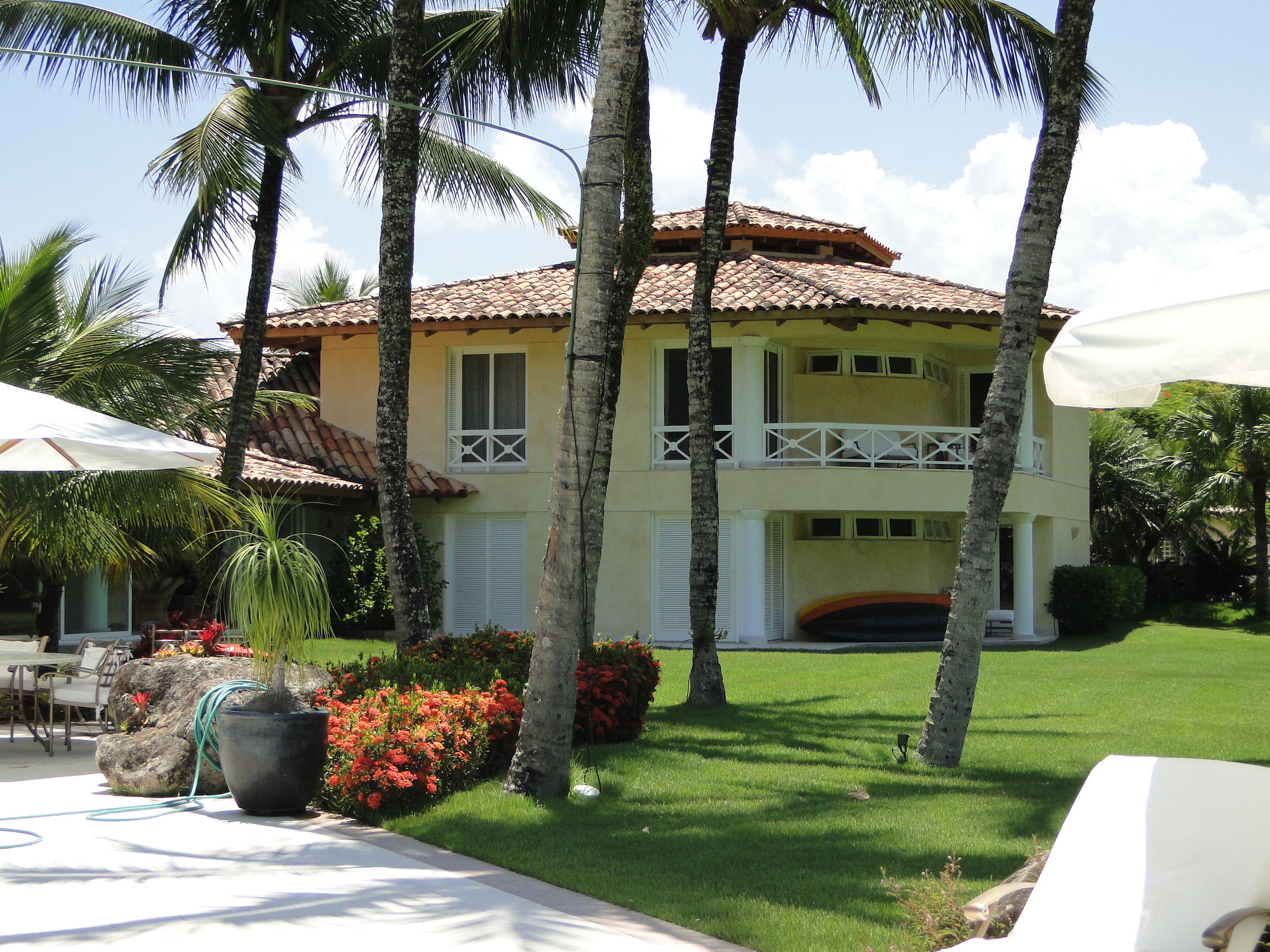 Cópia de LARANJEIRAS 246