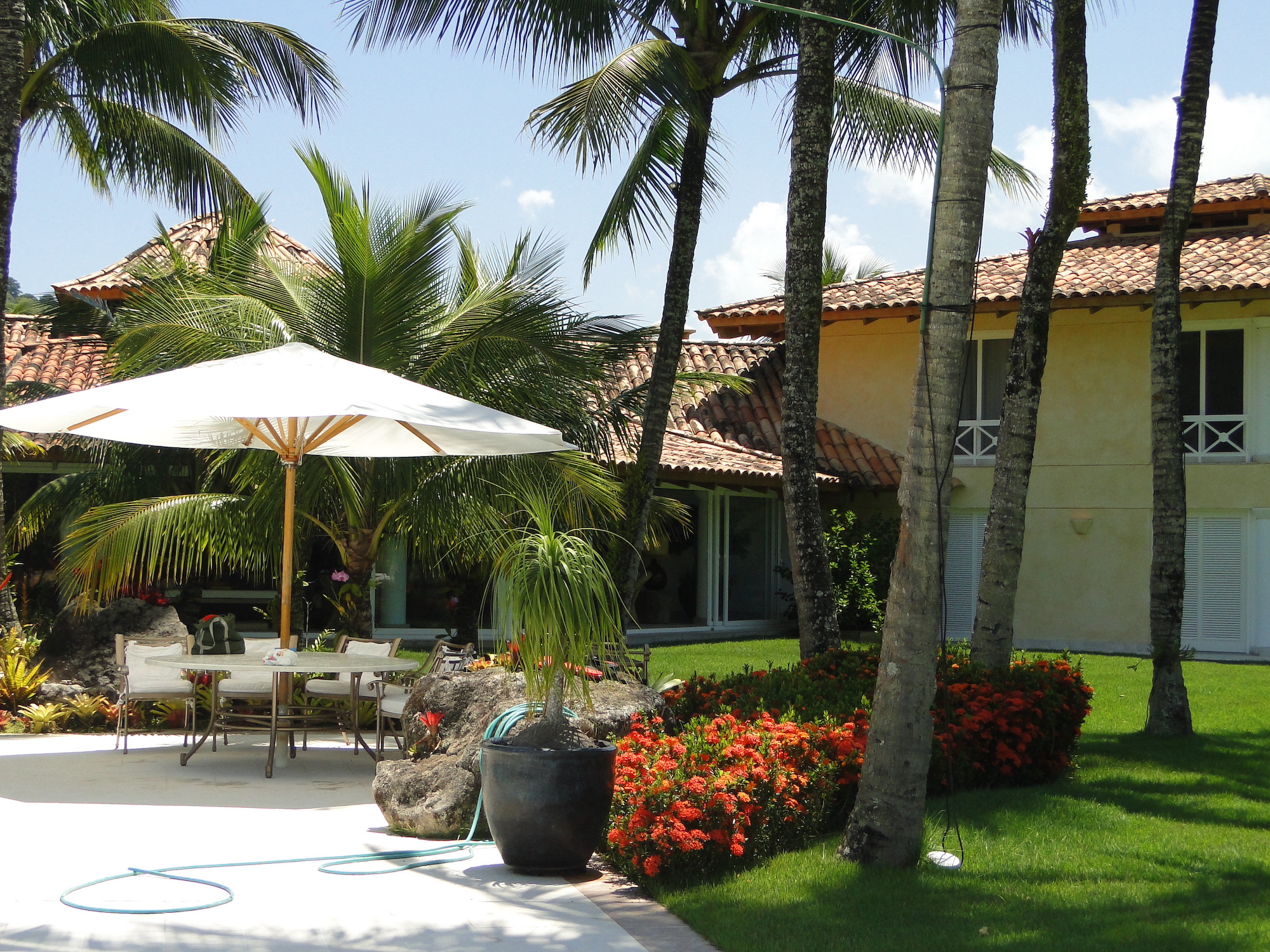 Cópia de LARANJEIRAS 248