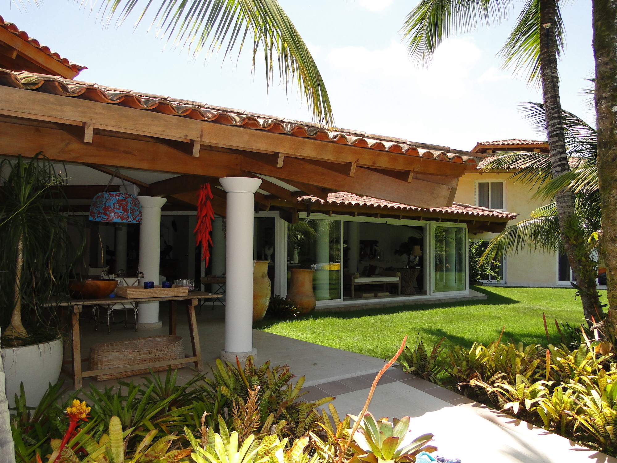 Cópia de LARANJEIRAS 263