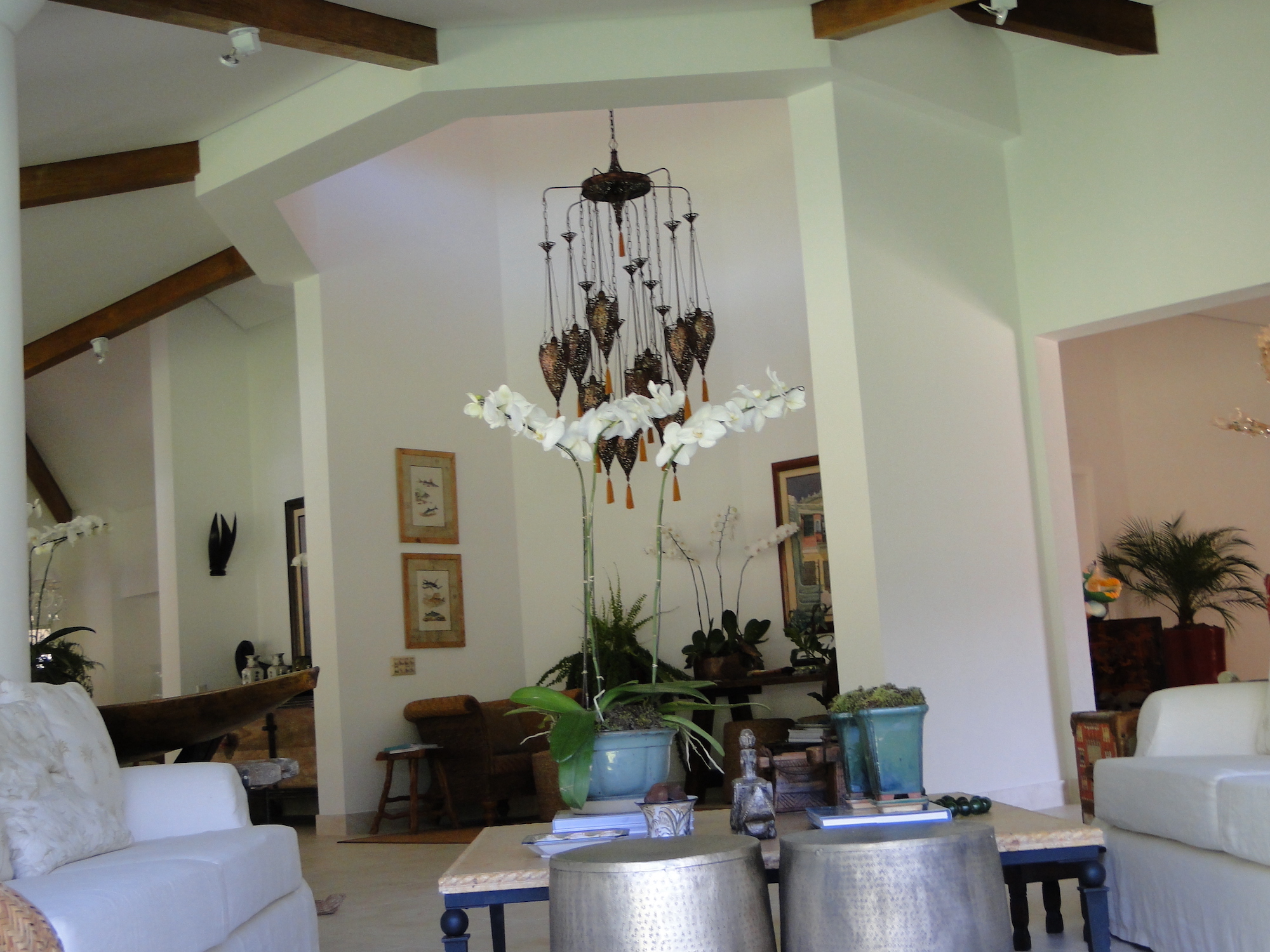 Cópia de LARANJEIRAS 266