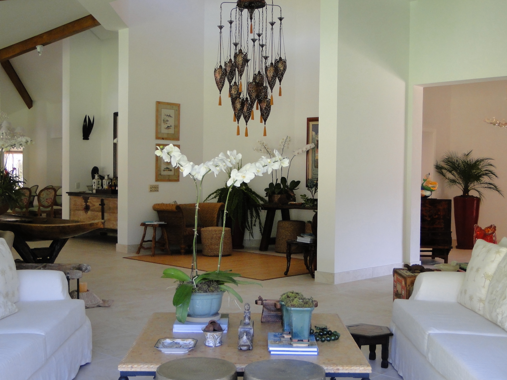 Cópia de LARANJEIRAS 267