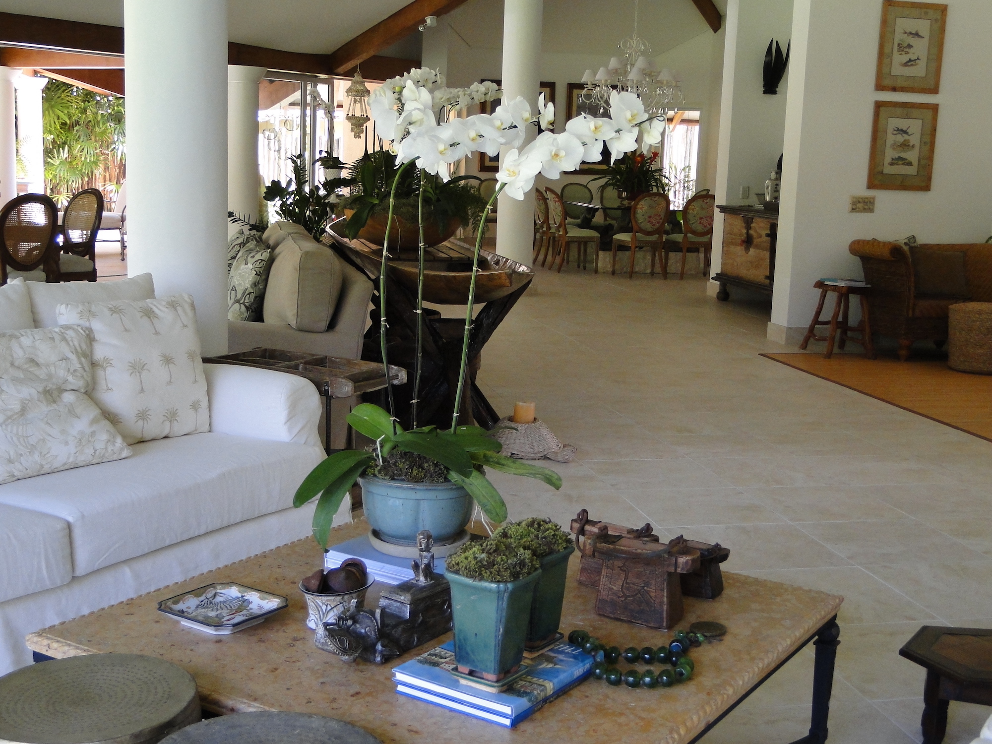 Cópia de LARANJEIRAS 268