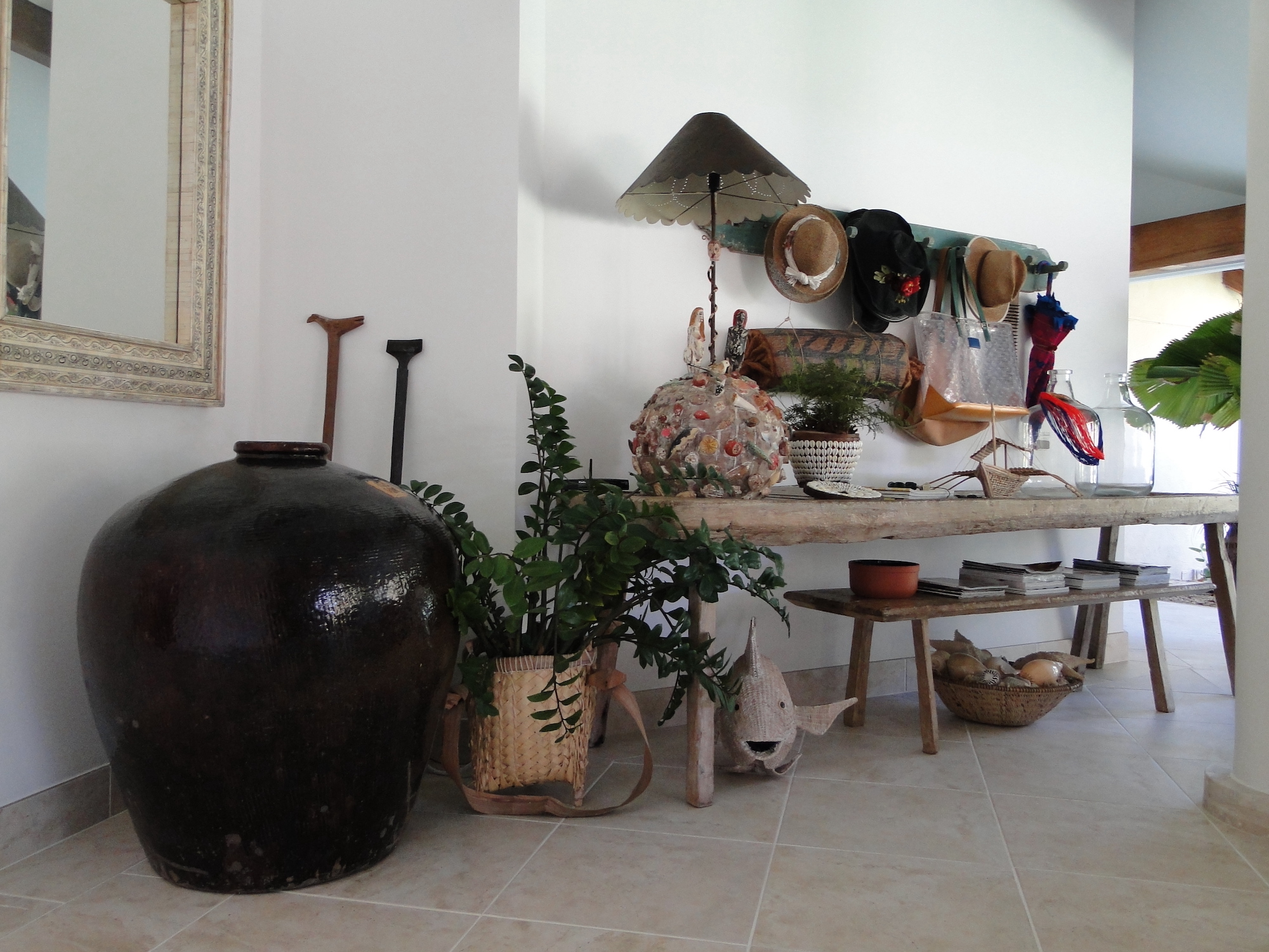 Cópia de LARANJEIRAS 272