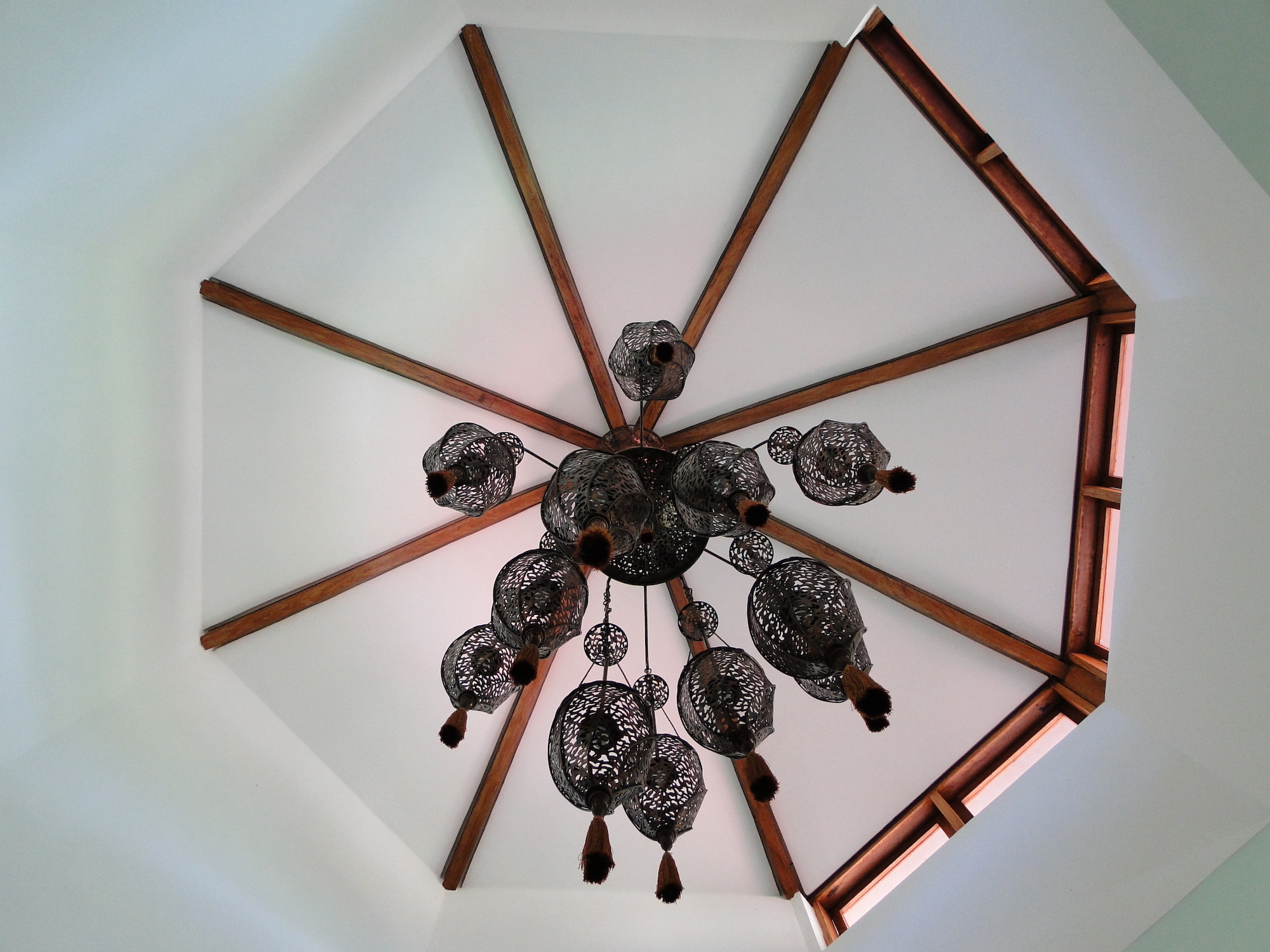 Cópia de LARANJEIRAS 277