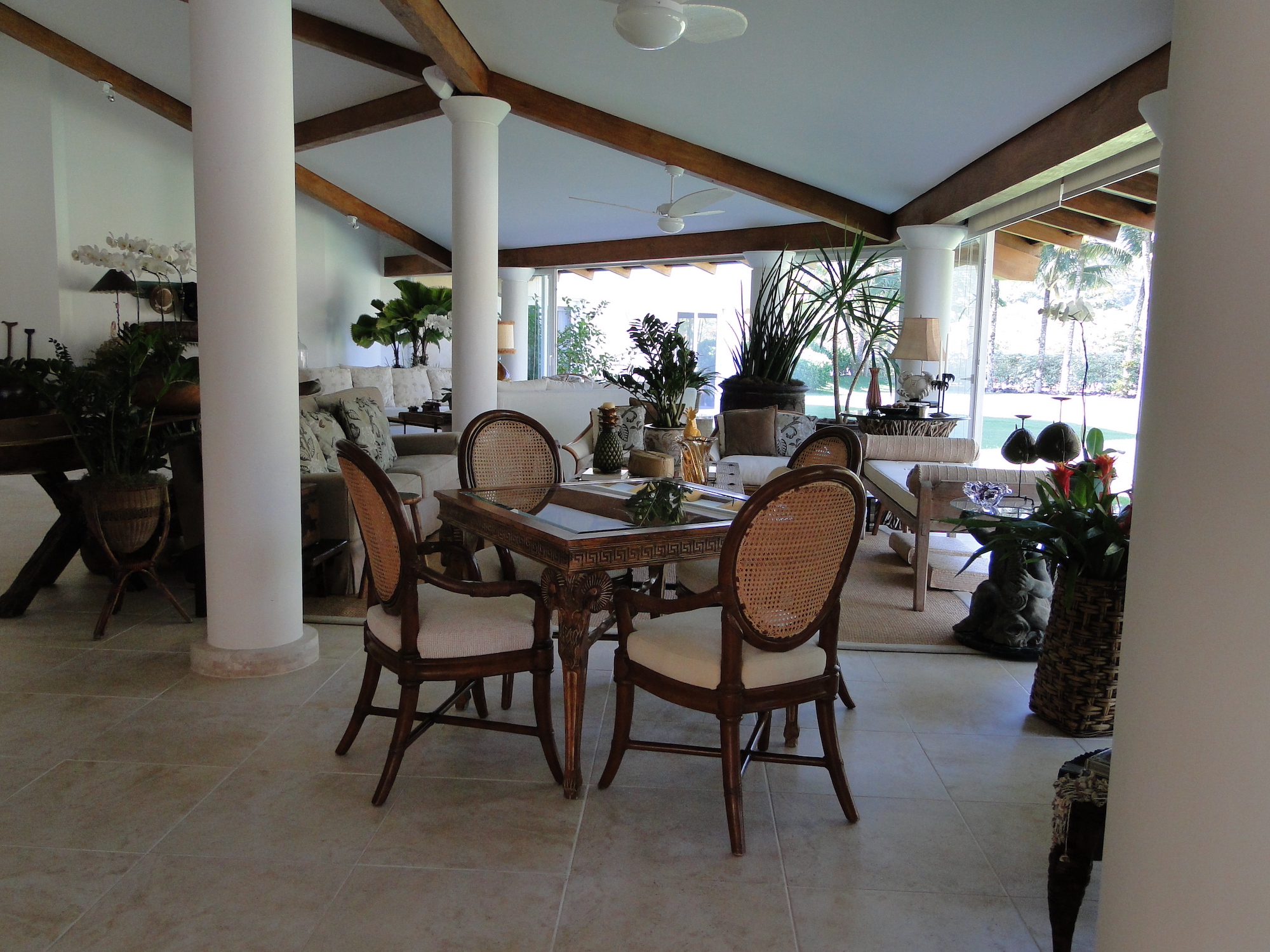 Cópia de LARANJEIRAS 299