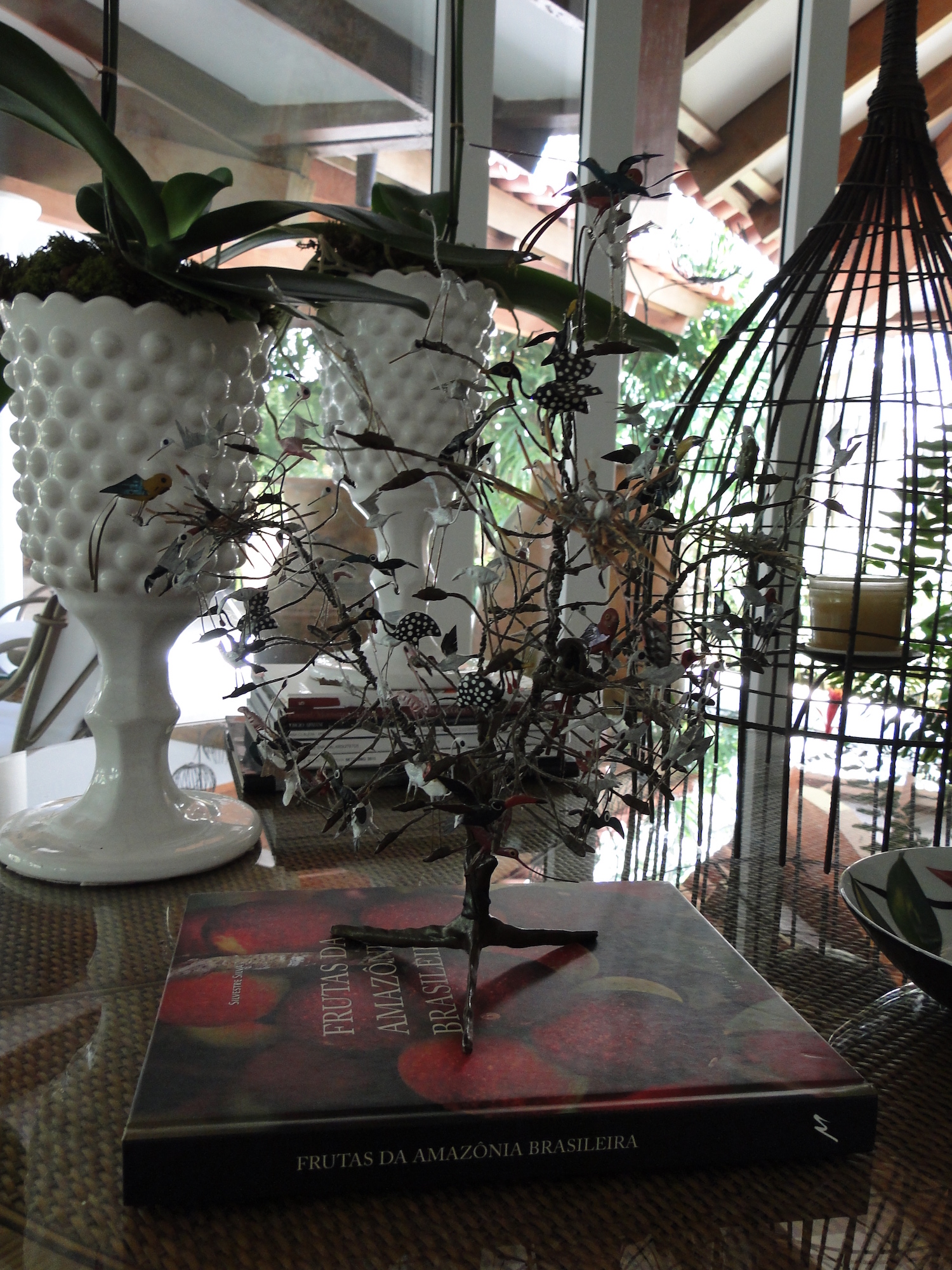 Cópia de LARANJEIRAS 303