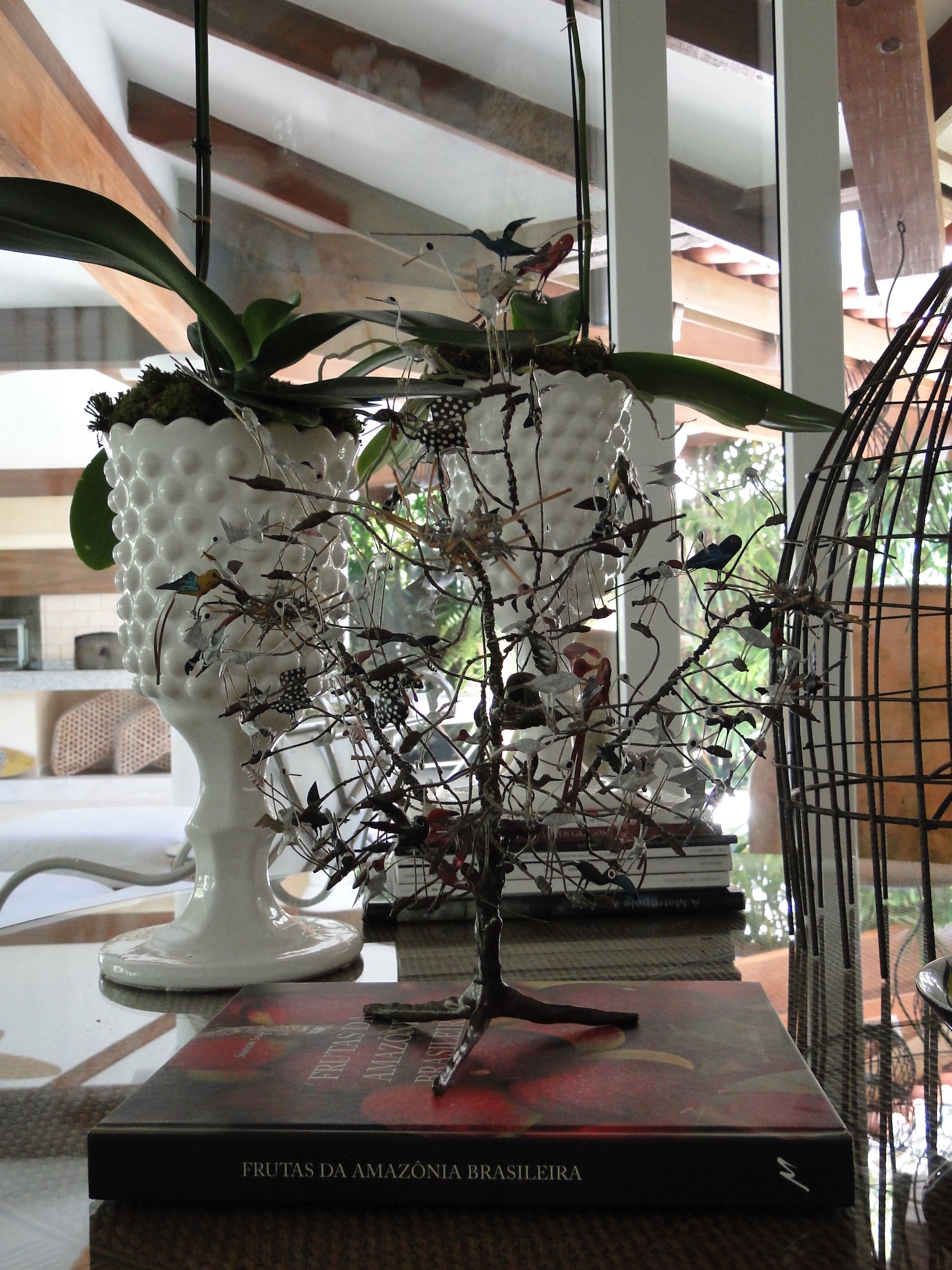 Cópia de LARANJEIRAS 304