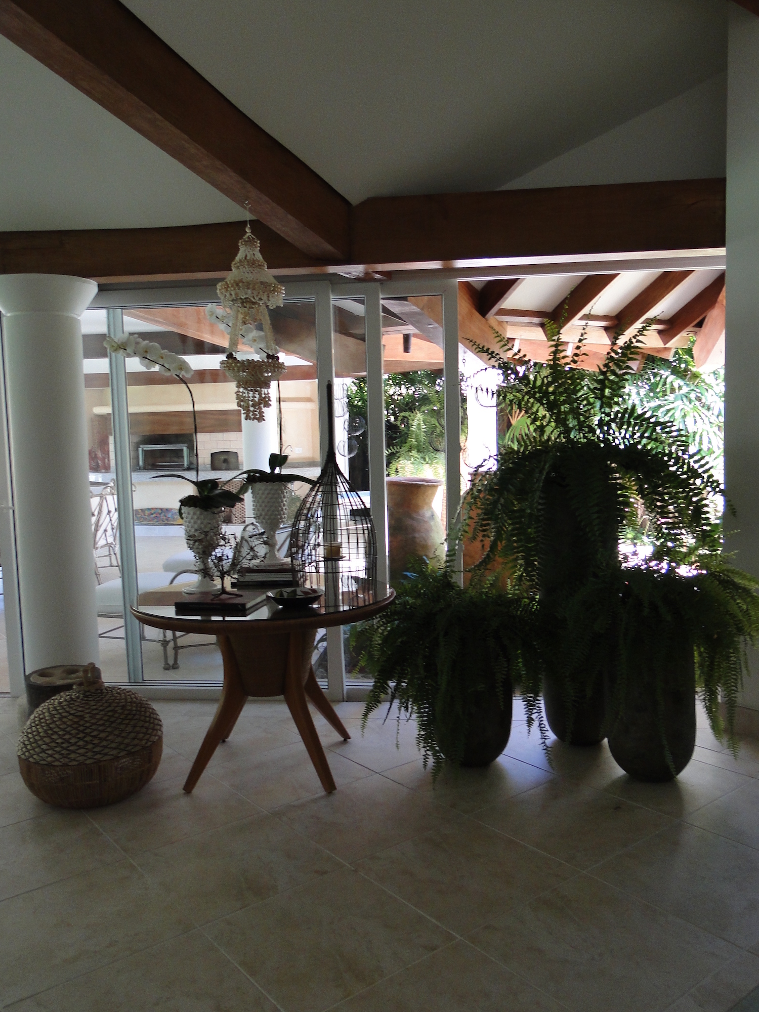 Cópia de LARANJEIRAS 307