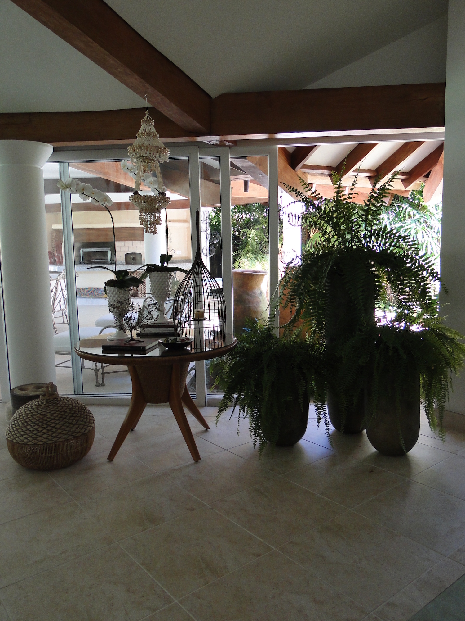 Cópia de LARANJEIRAS 308