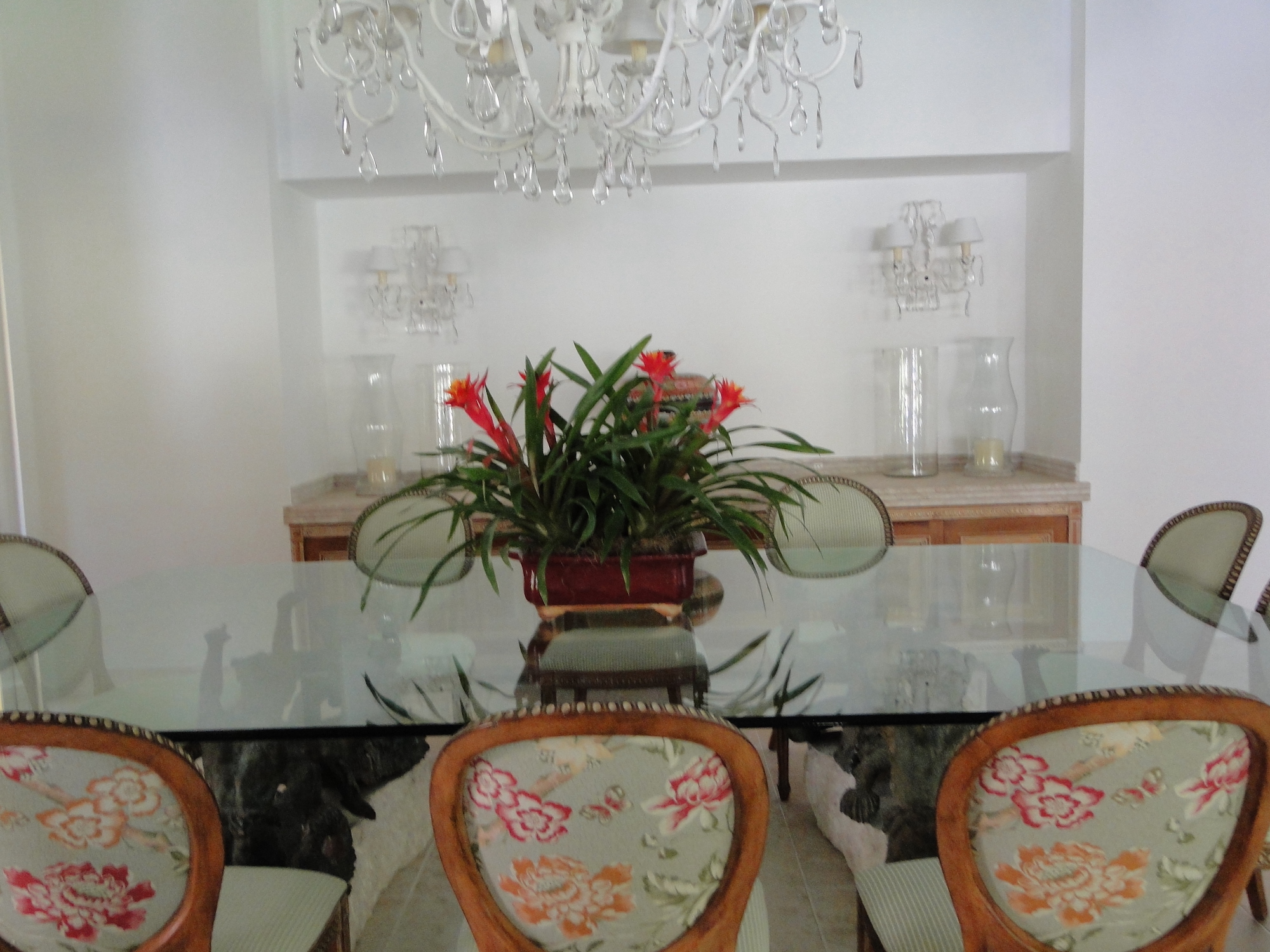 Cópia de LARANJEIRAS 311