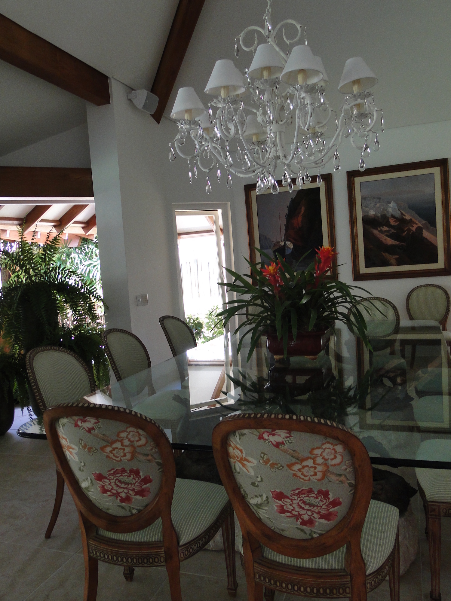 Cópia de LARANJEIRAS 313