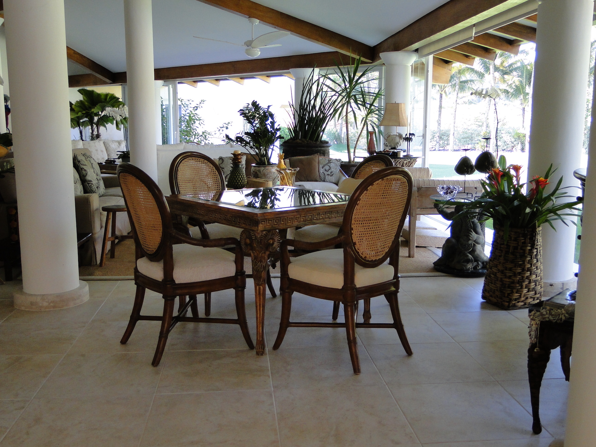 Cópia de LARANJEIRAS 316