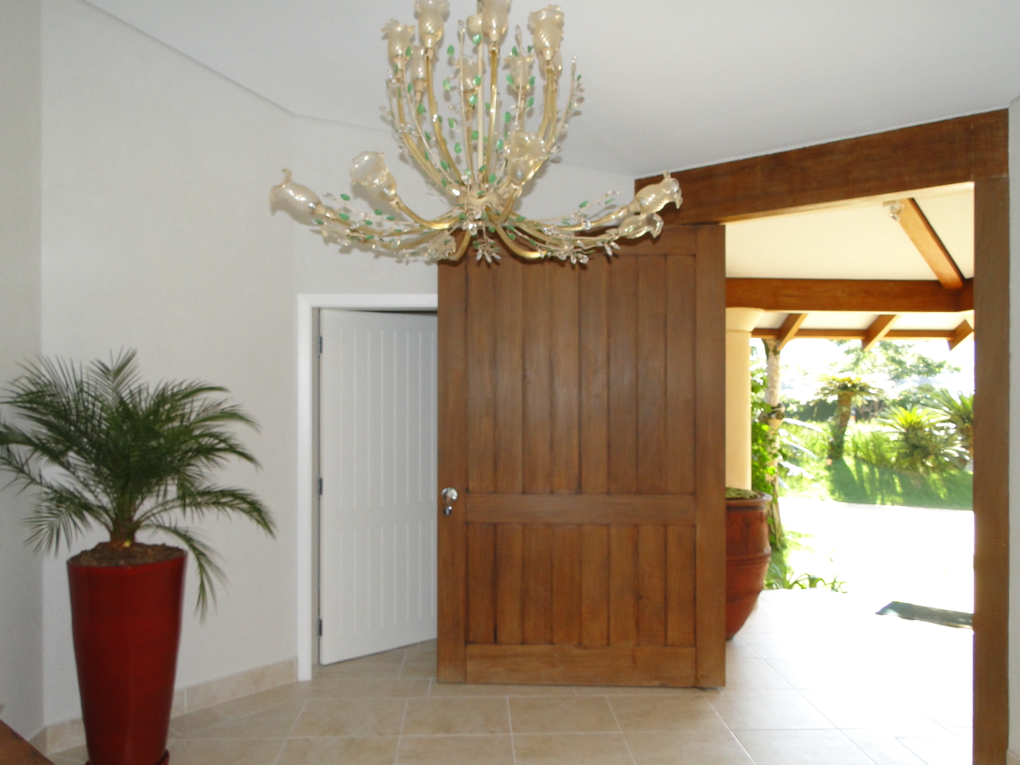 Cópia de LARANJEIRAS 336