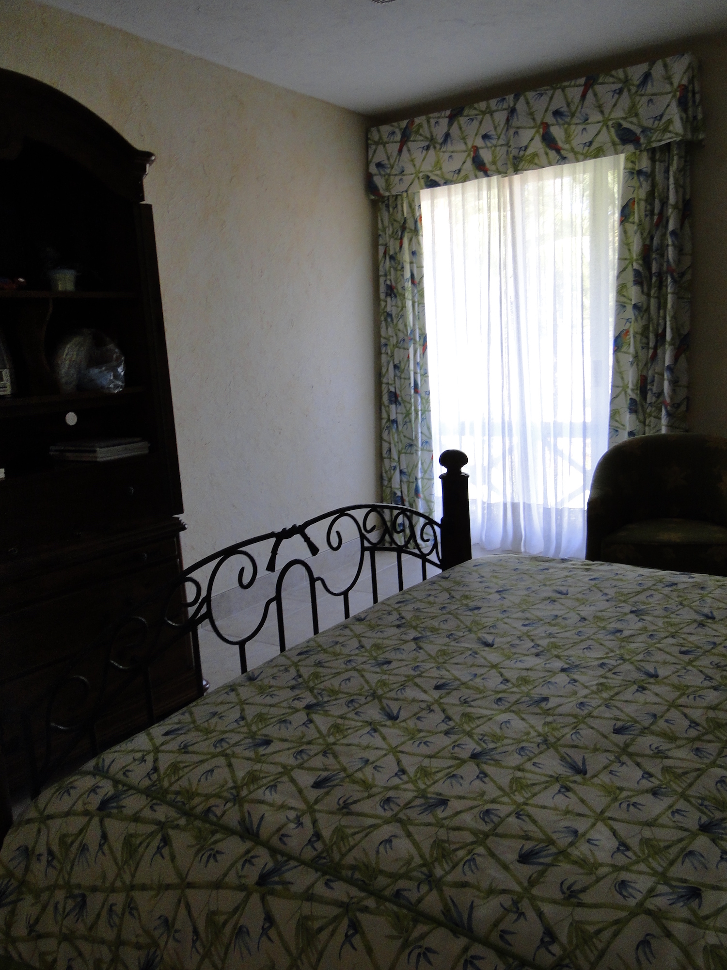 Cópia de LARANJEIRAS 386