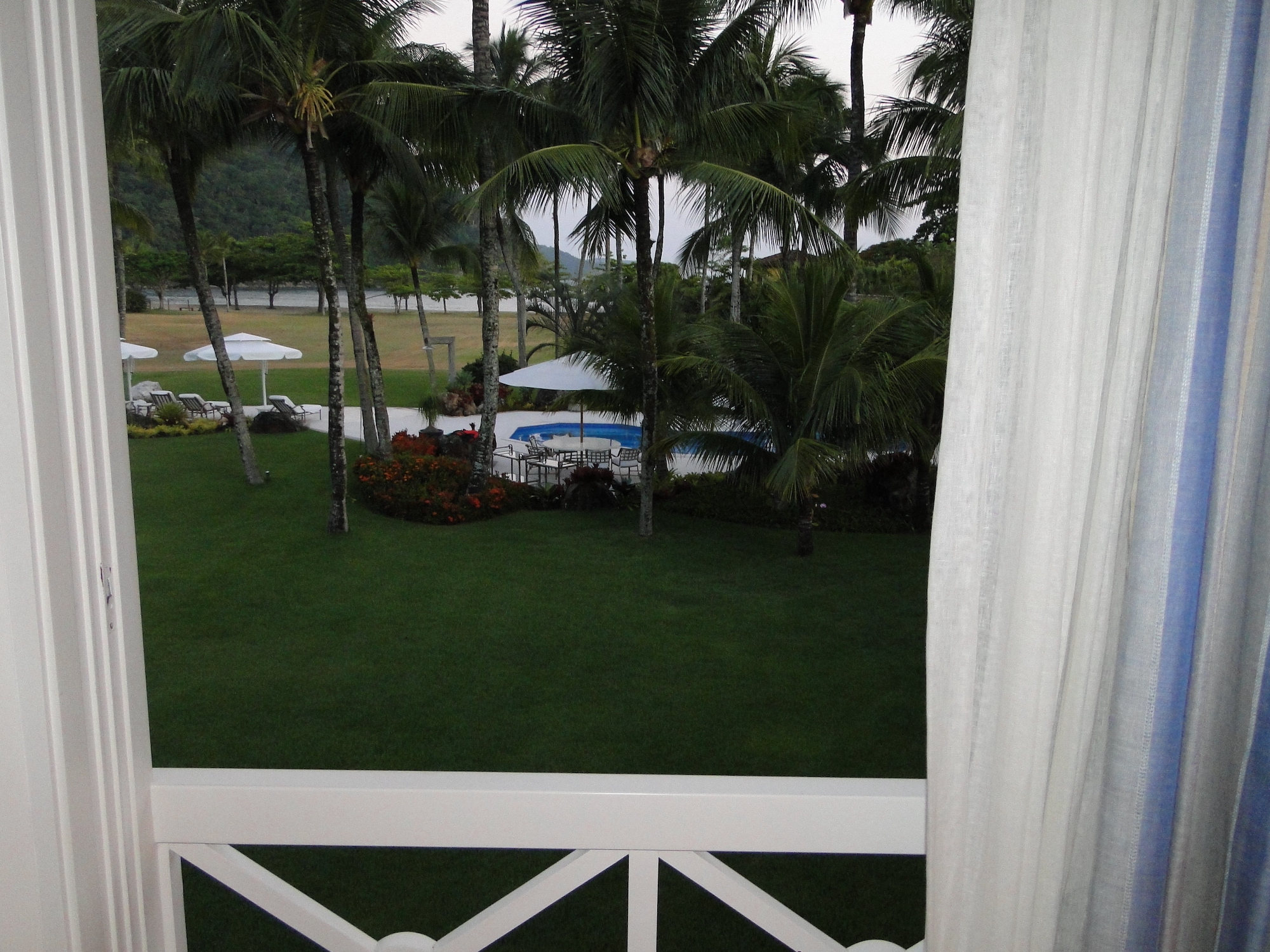 Cópia de LARANJEIRAS 399