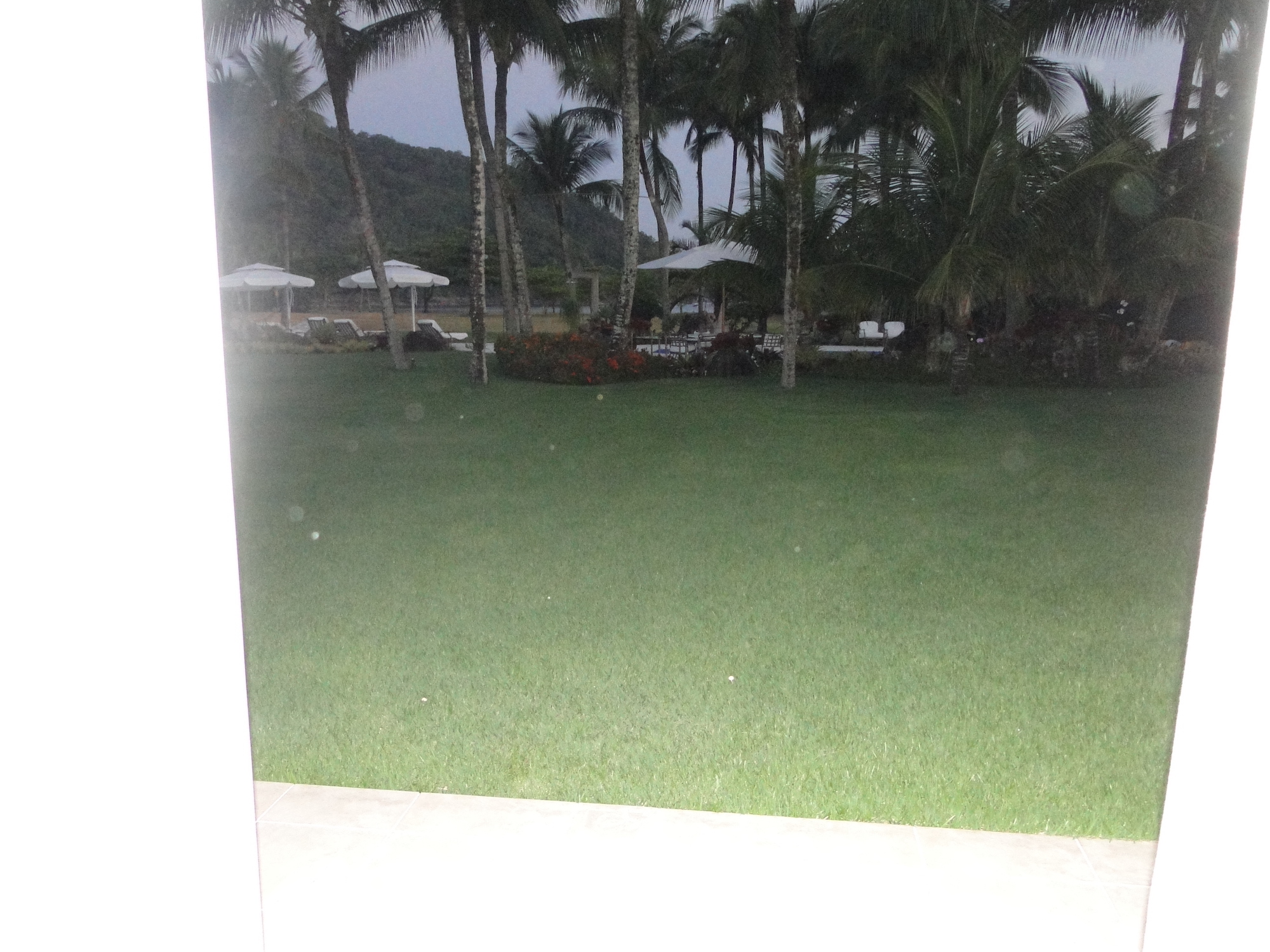 Cópia de LARANJEIRAS 408