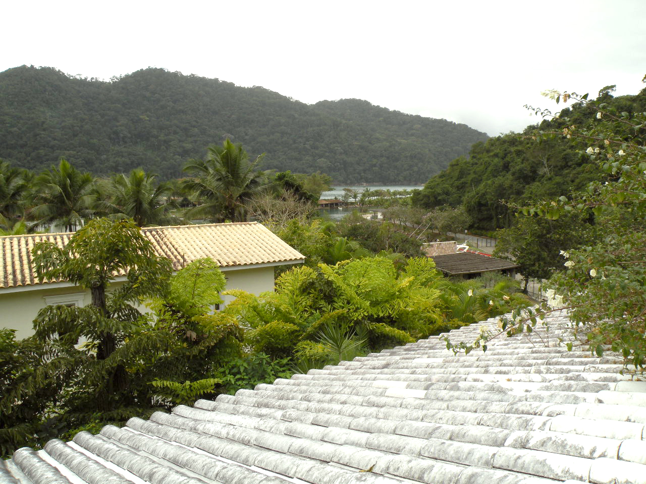 Cópia de Q 20 L01 032