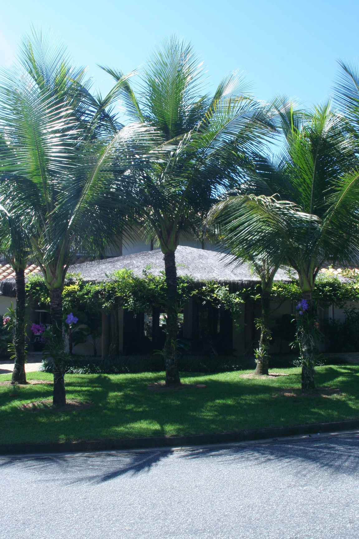 Cópia de Q13L36_0508