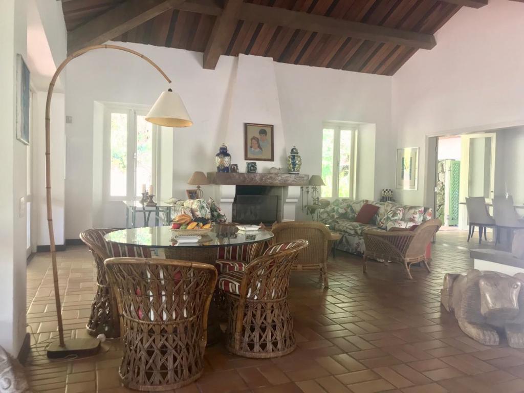 Cópia de WhatsApp Image 2021-02-12 at 10.03.52 (12)