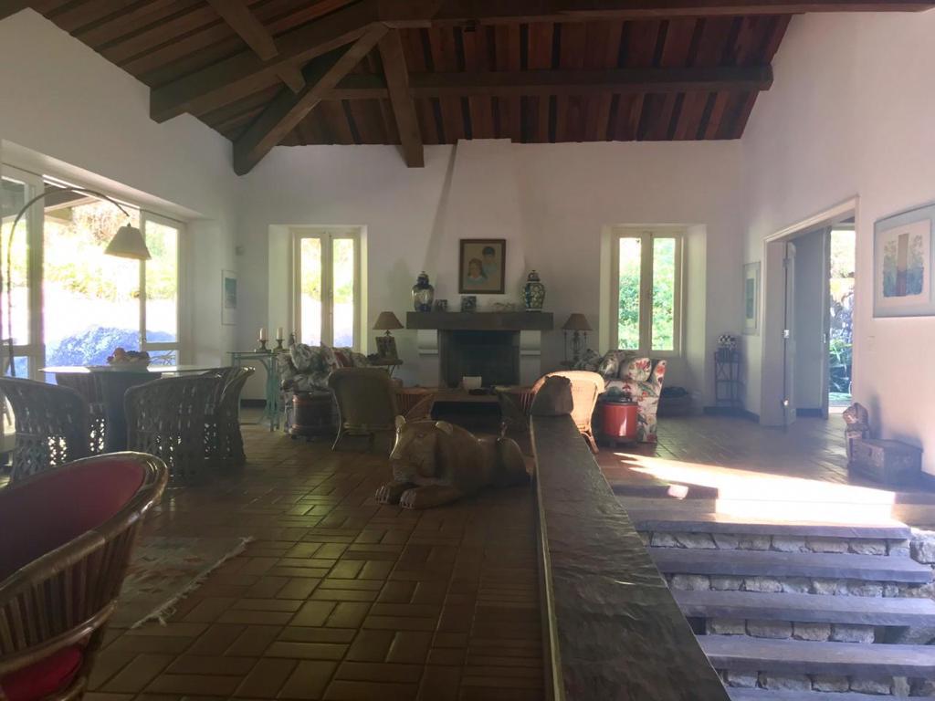 Cópia de WhatsApp Image 2021-02-12 at 10.03.52 (3)