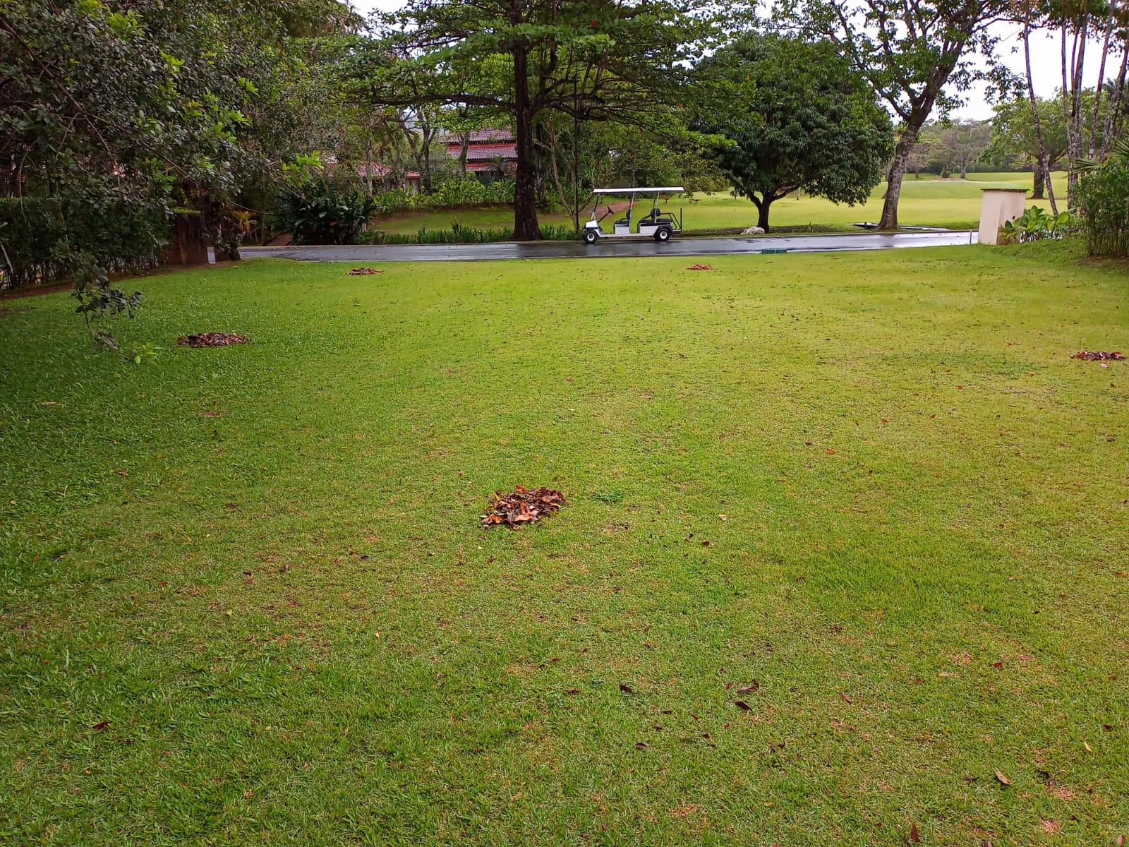 Cópia de WhatsApp Image 2021-10-19 at 10.12.27