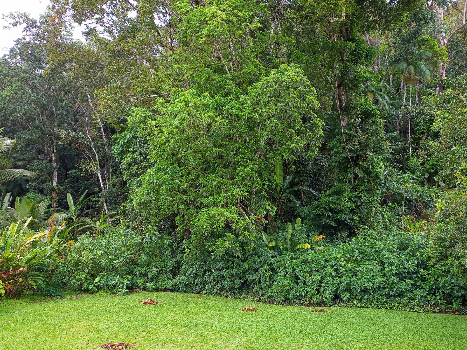 Cópia de WhatsApp Image 2021-10-19 at 10.12.28